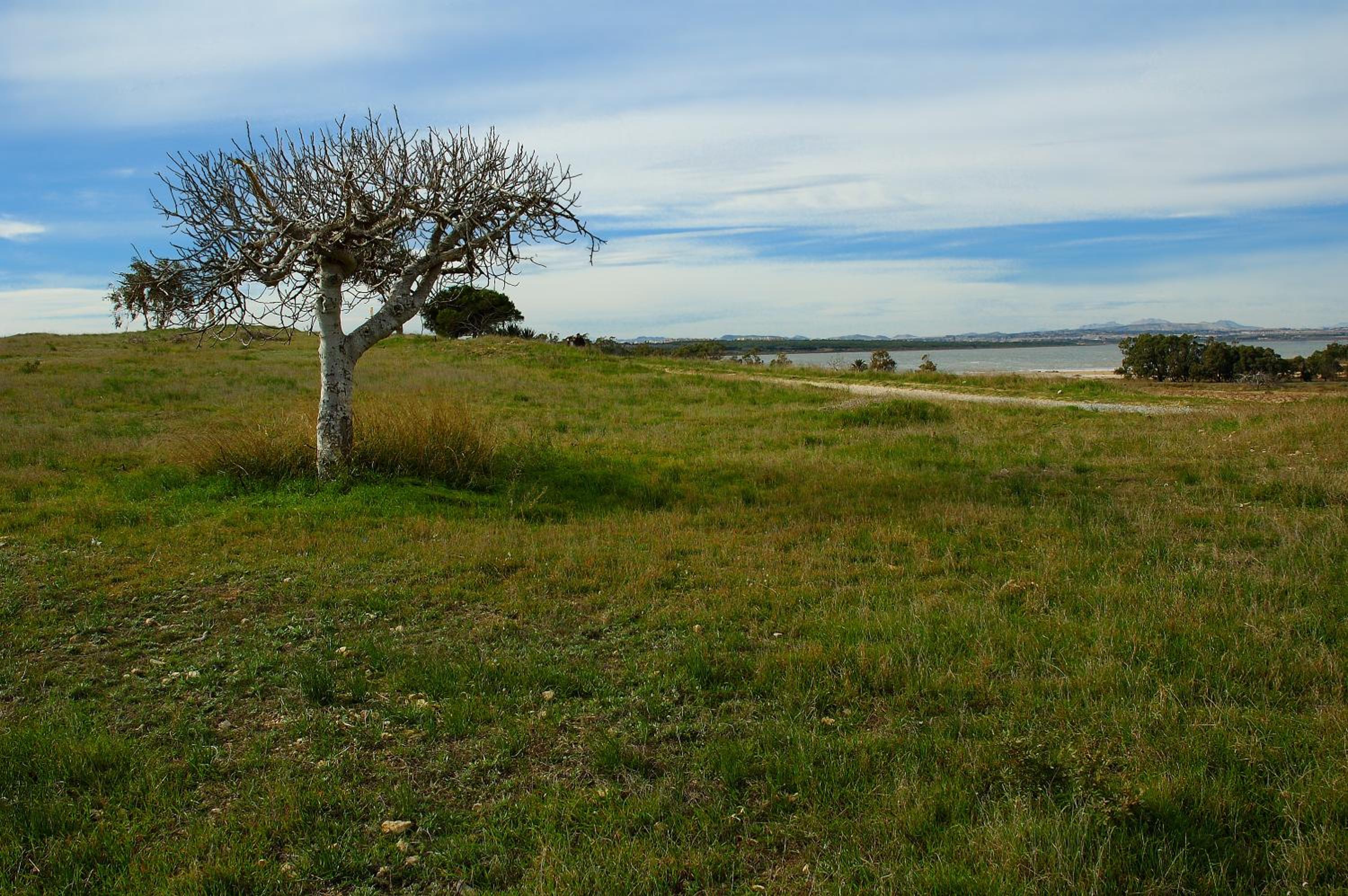 Hostal Alba