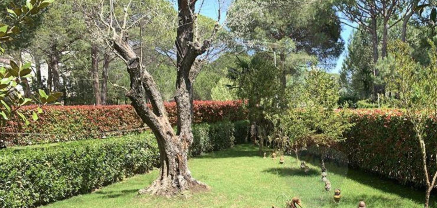 Villa Shera