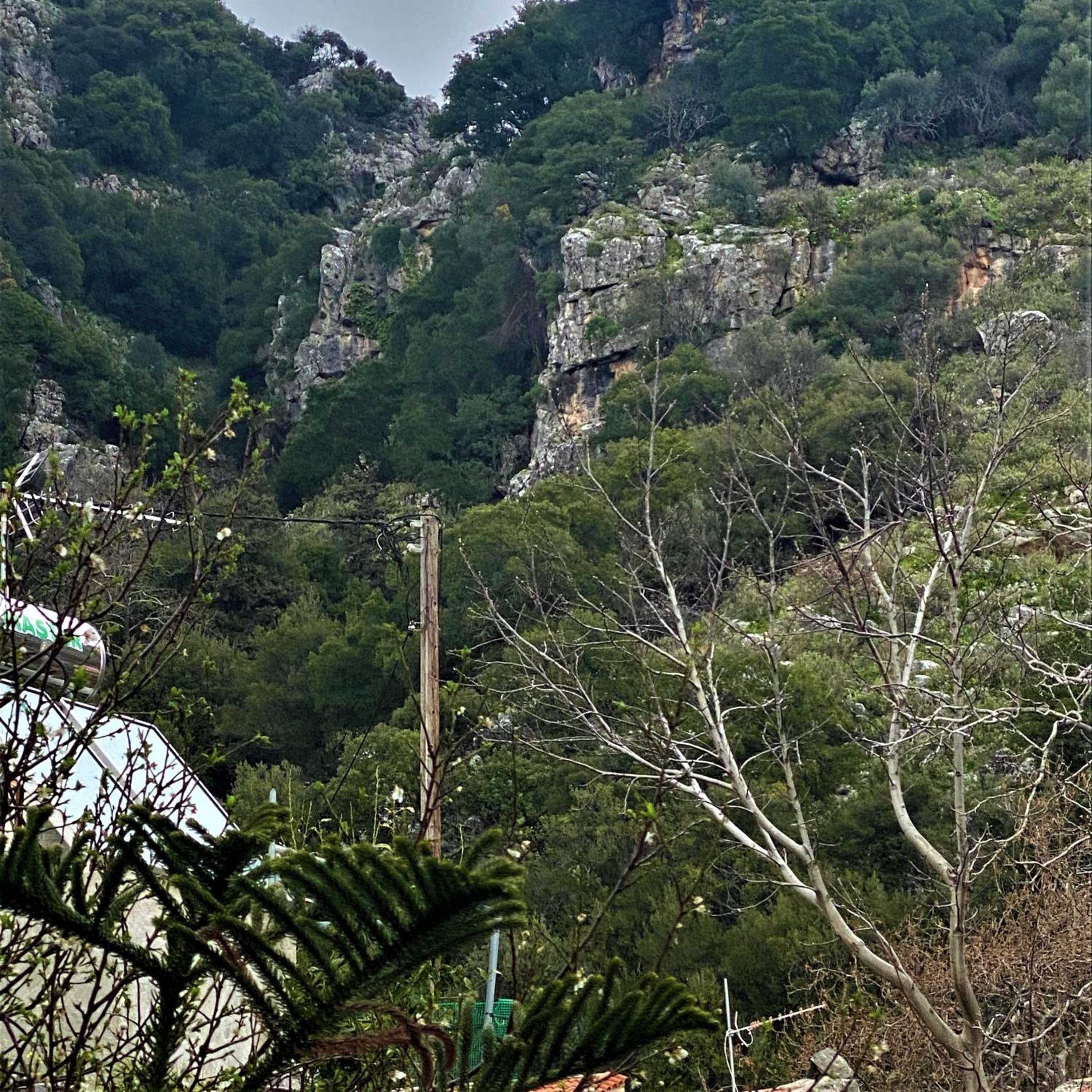 Costas Inn