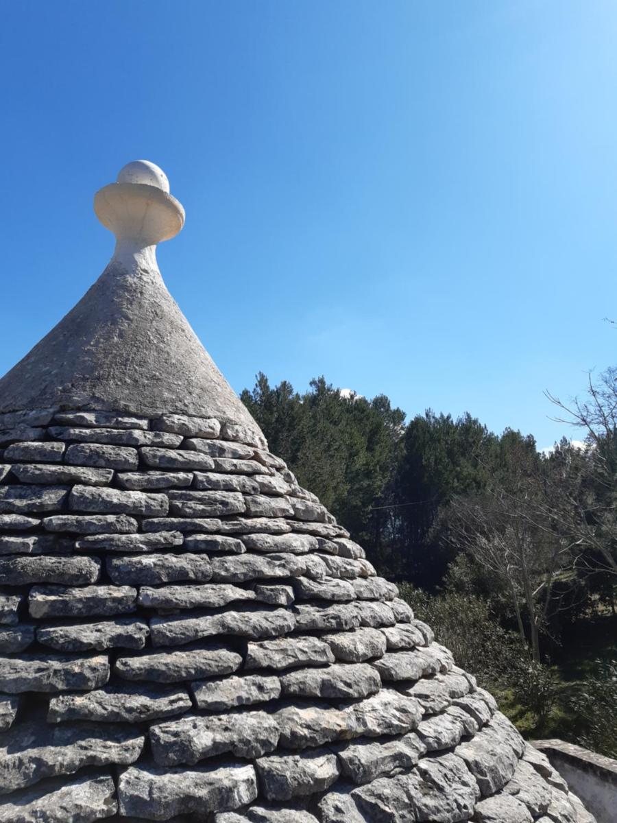 TRULLO PIETRO photo 3