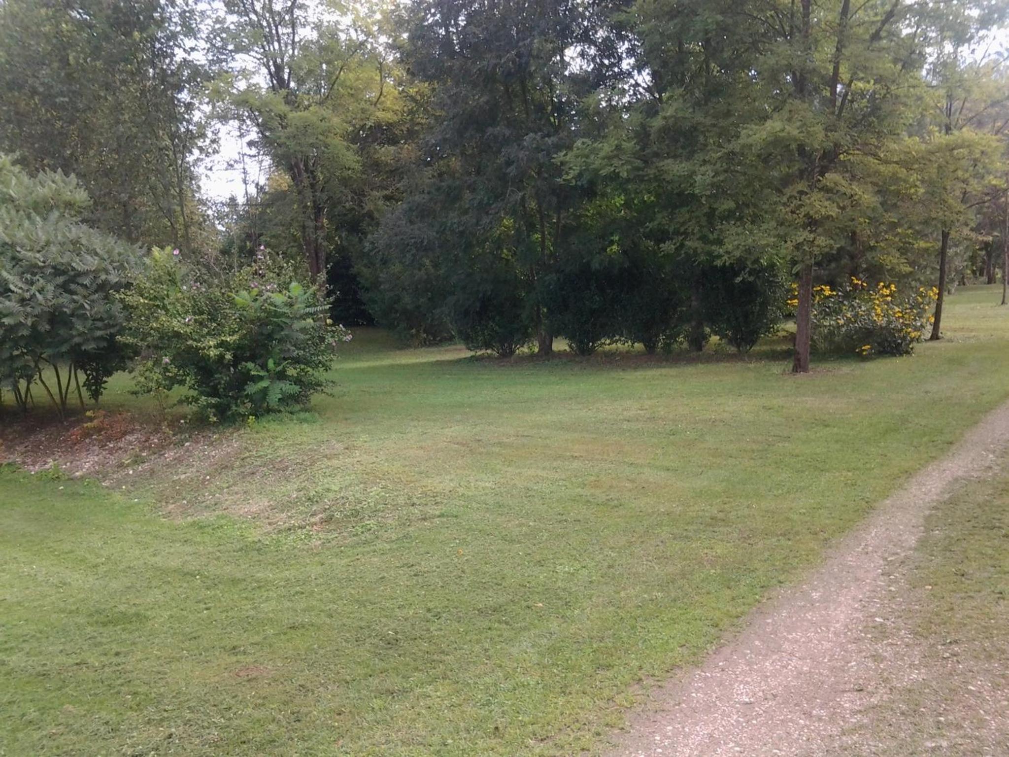 Photo 32