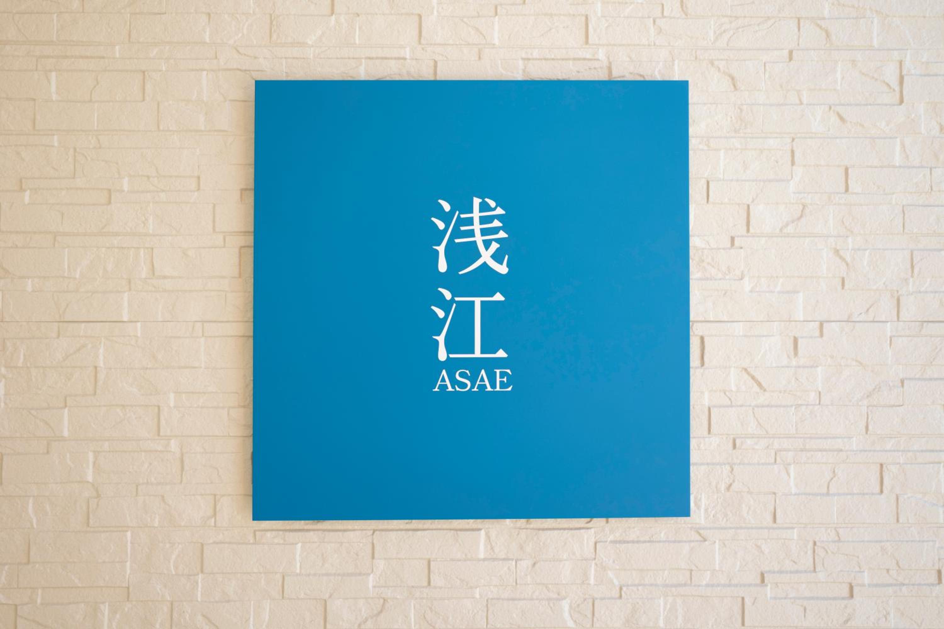 ASAE view 3