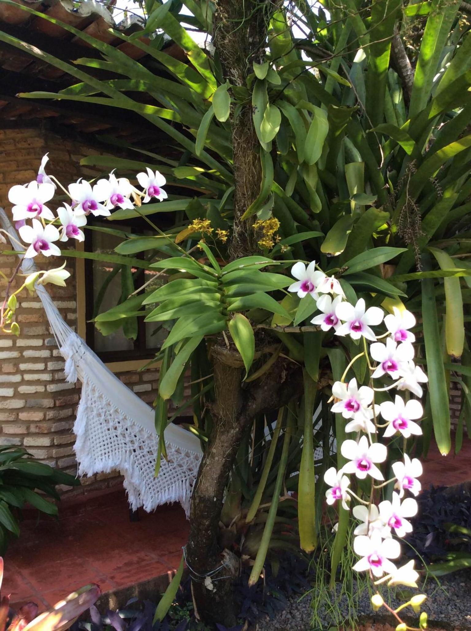 Pousada Oasis