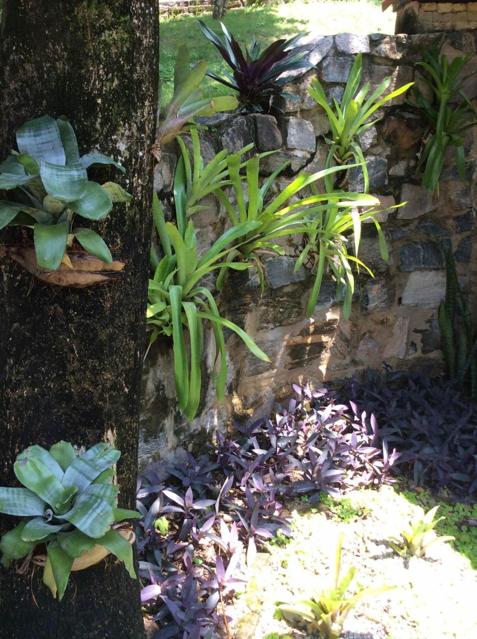 Pousada Oasis