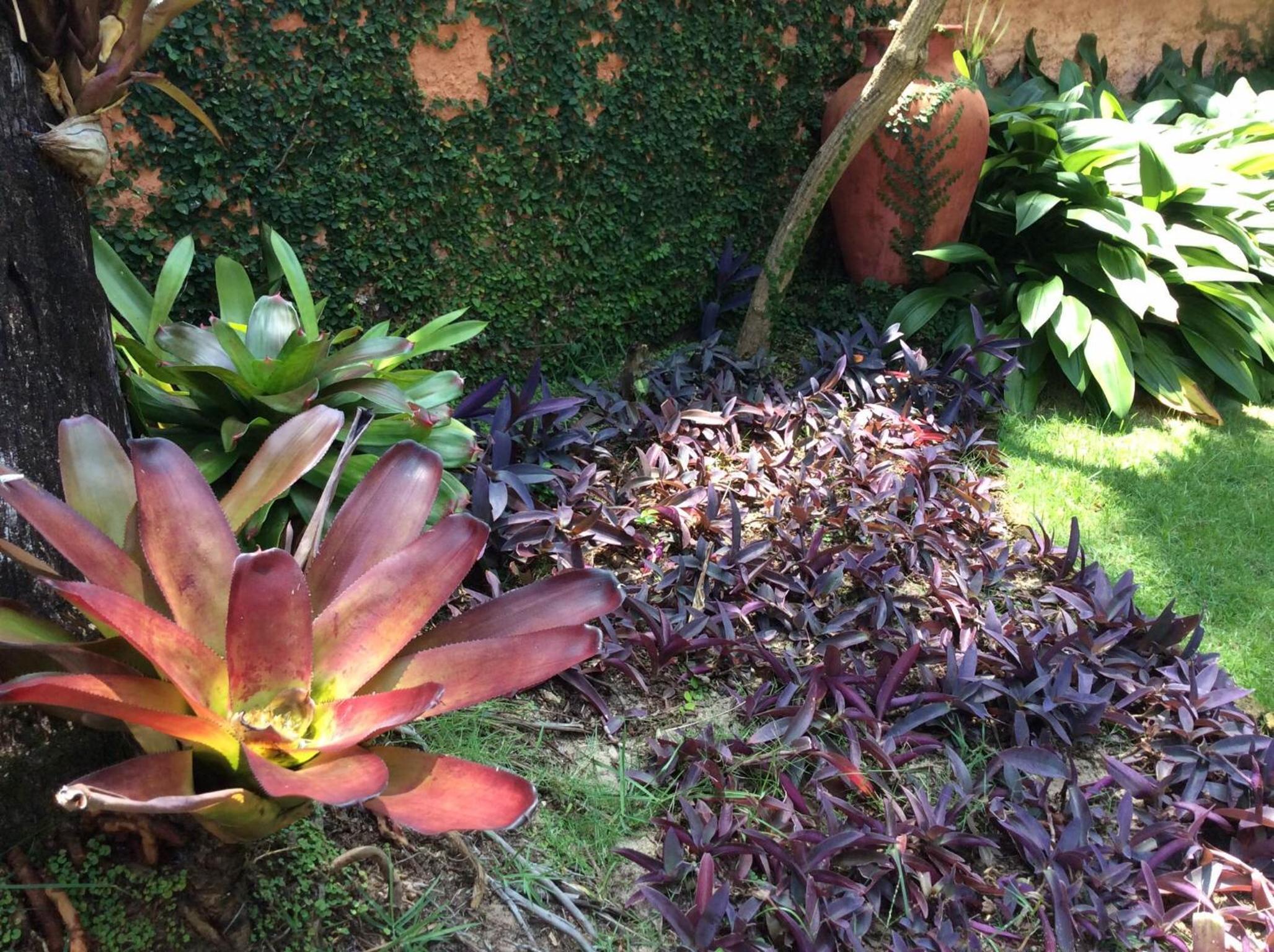 Pousada Oasis