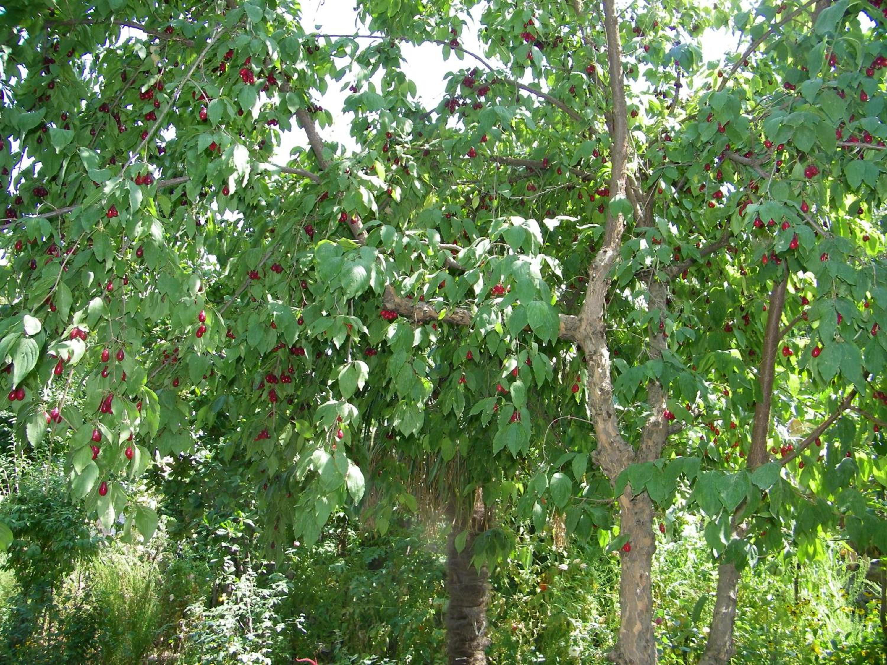 Holiday Home Ekaterine