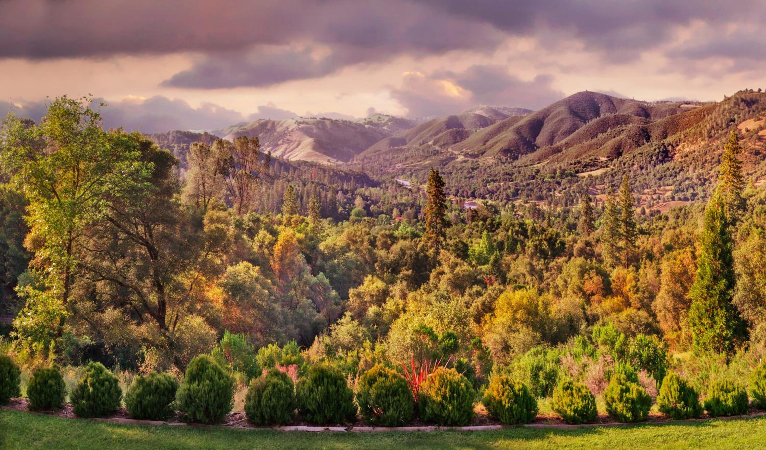 other