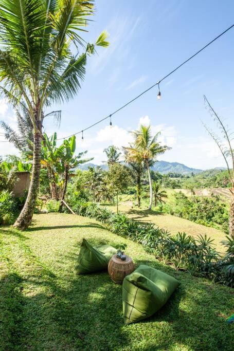 Photo 127
