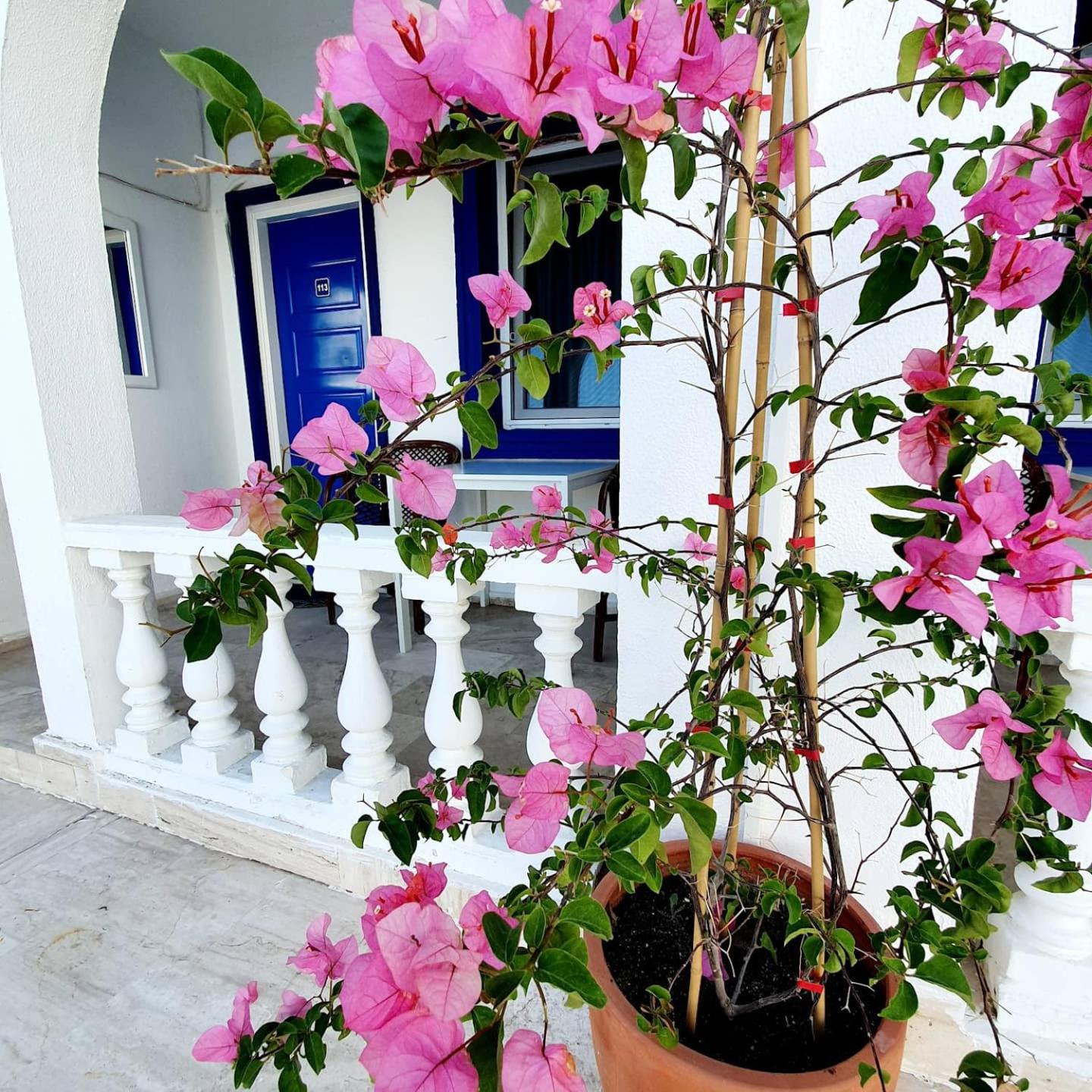 Dreams Bodrum butik hotel view 3