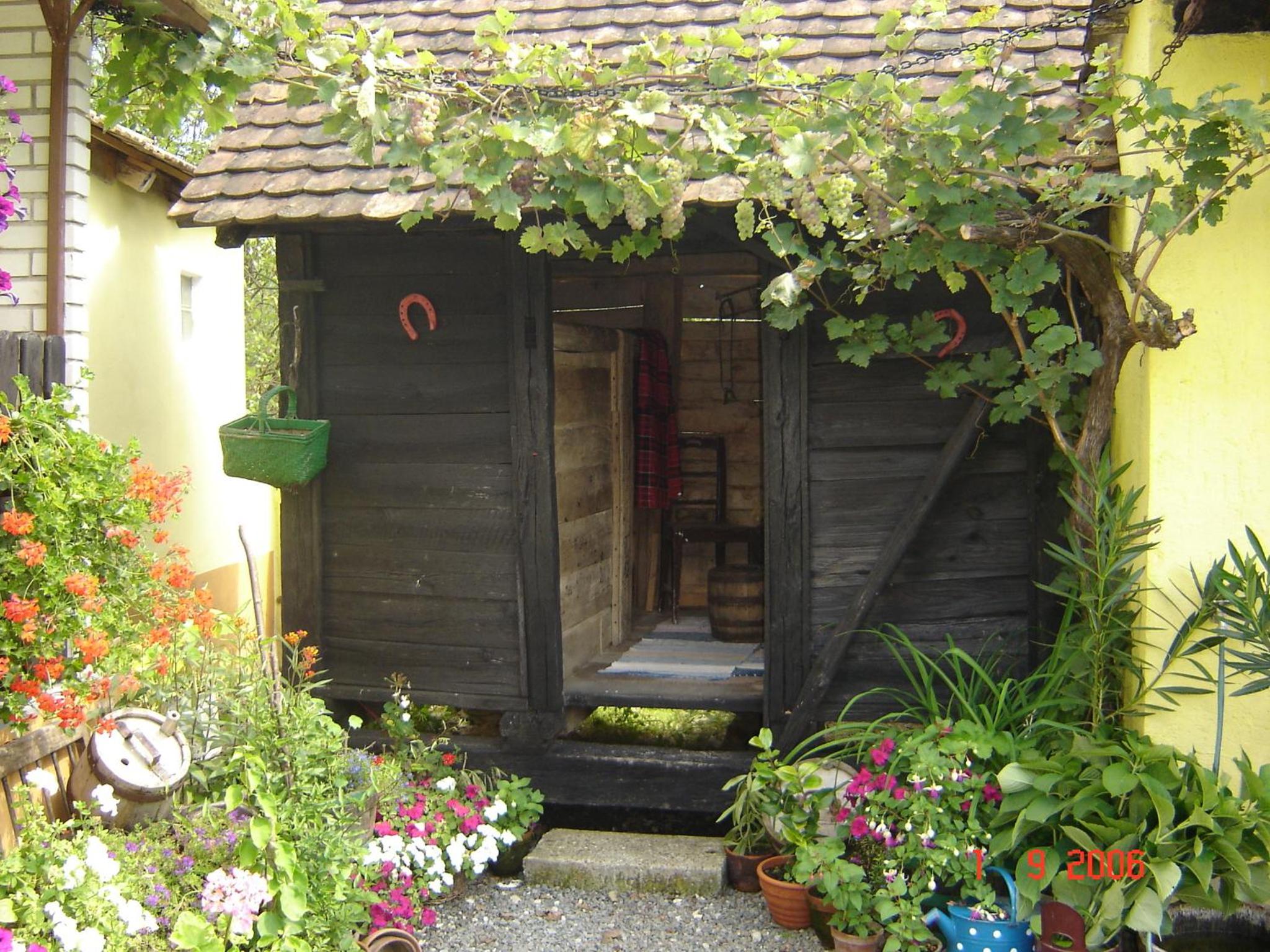 Photo 43