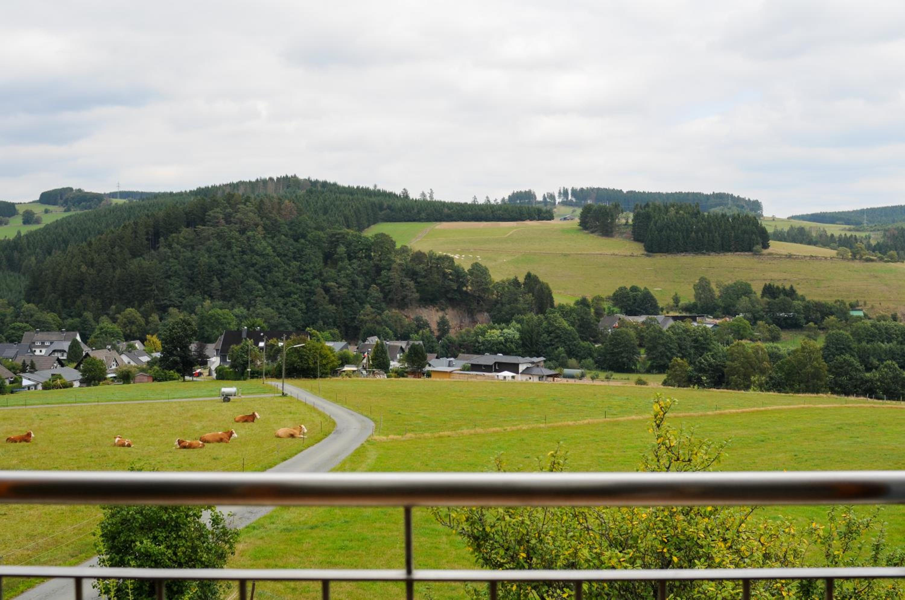 Ferienwohnung am Denkmal view 5
