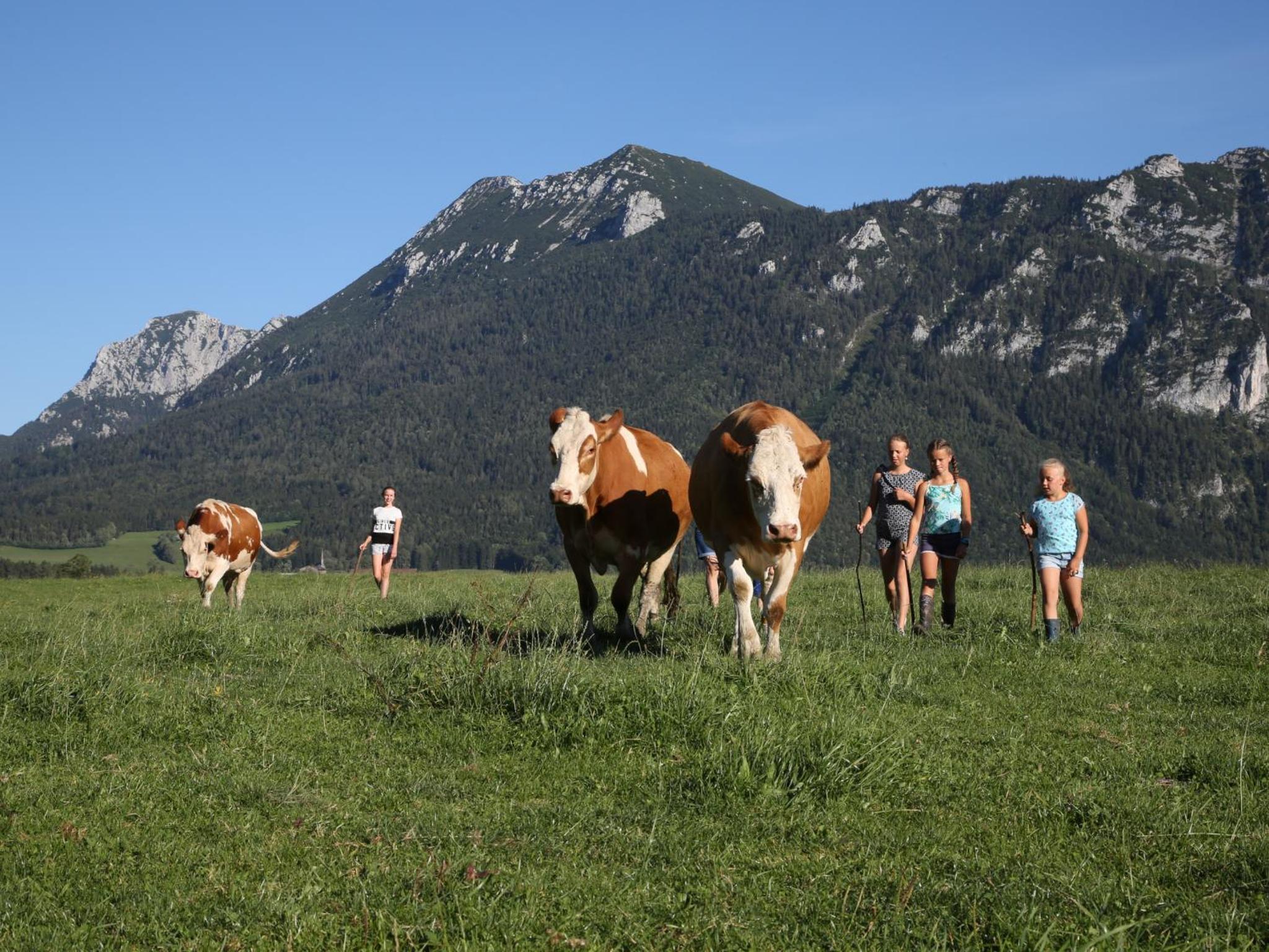 Weissenhof - Chiemgau Karte