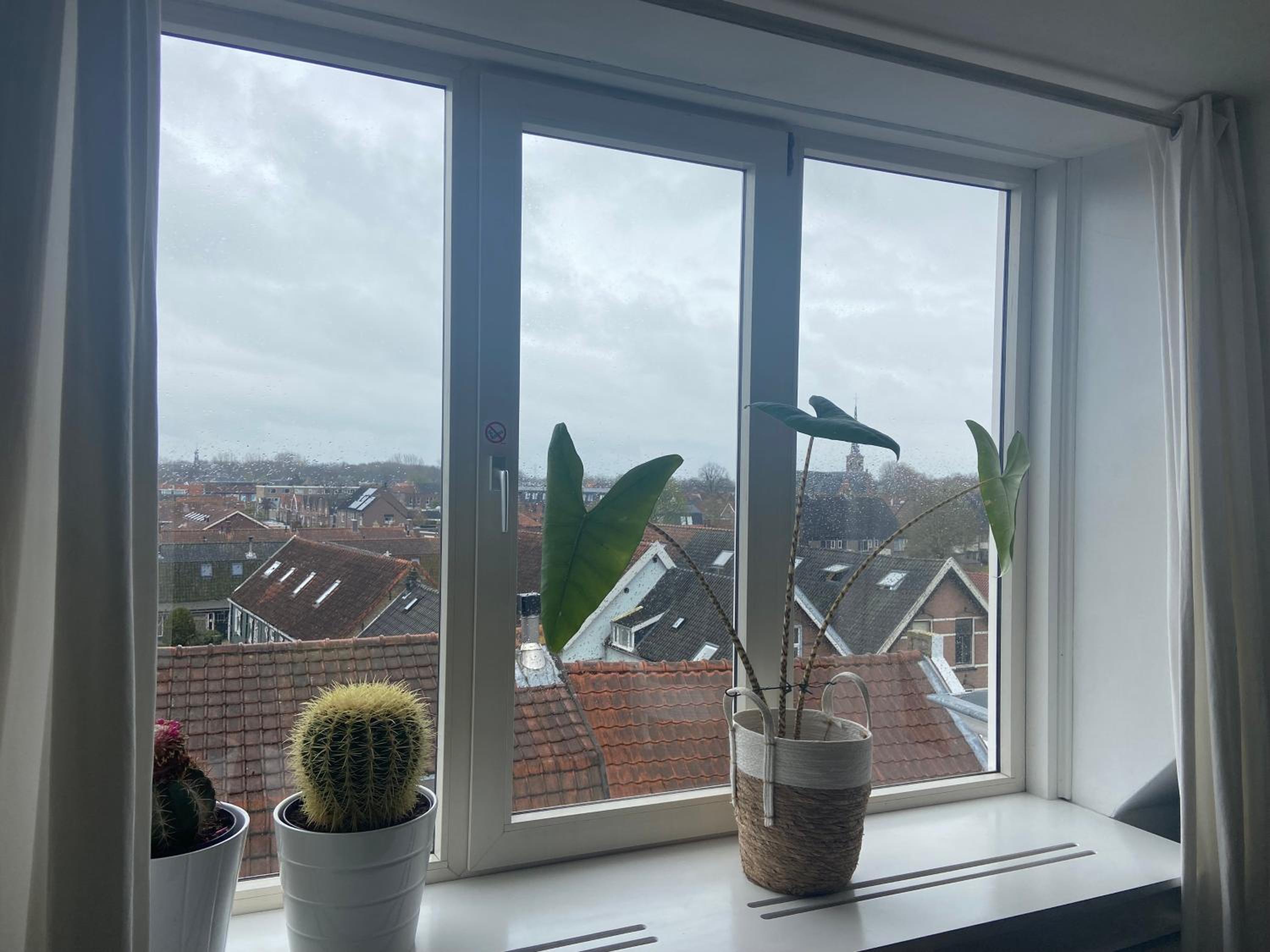 Appartement Pandhouse view 4