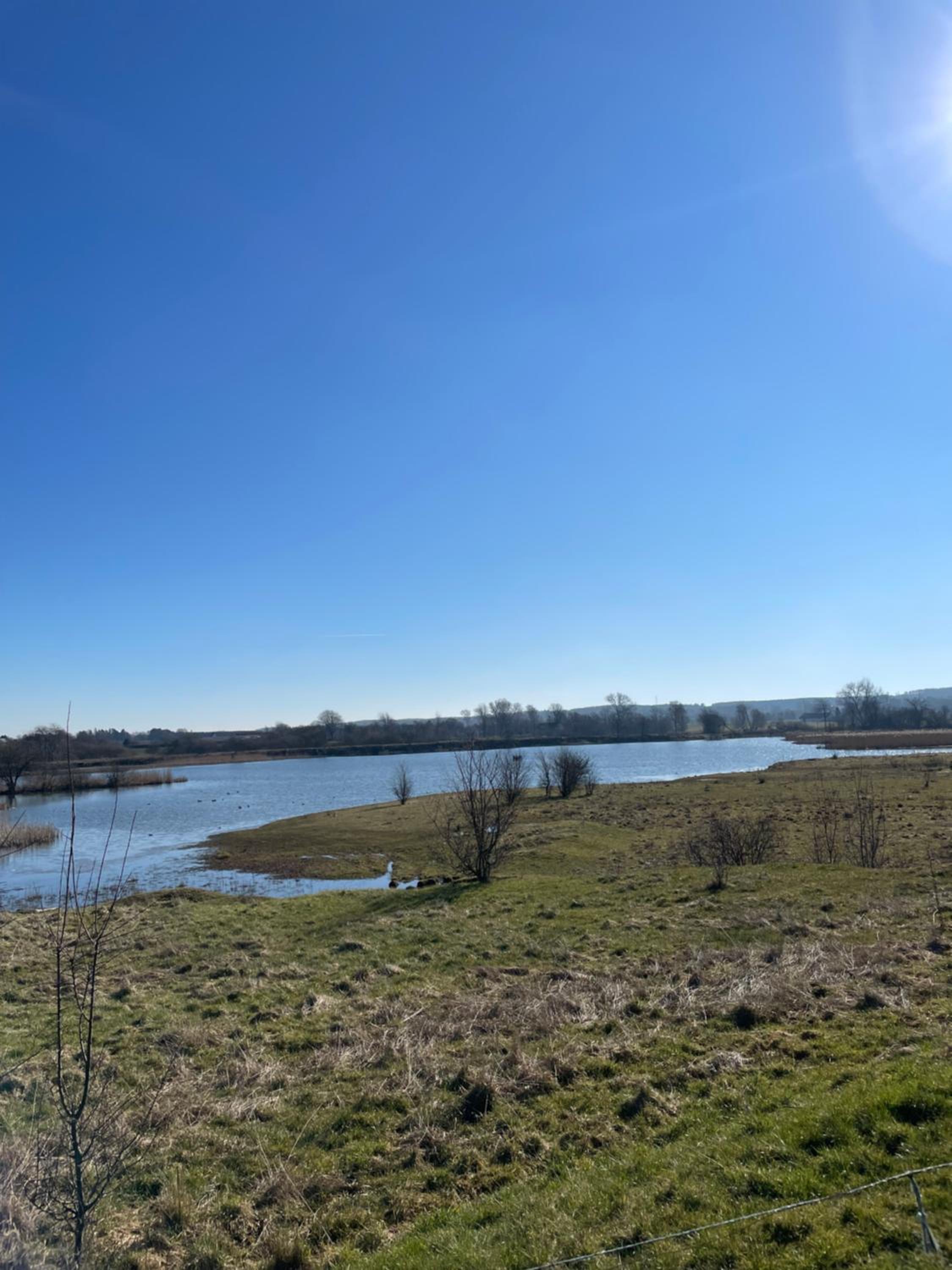 Feriehus i skøn natur