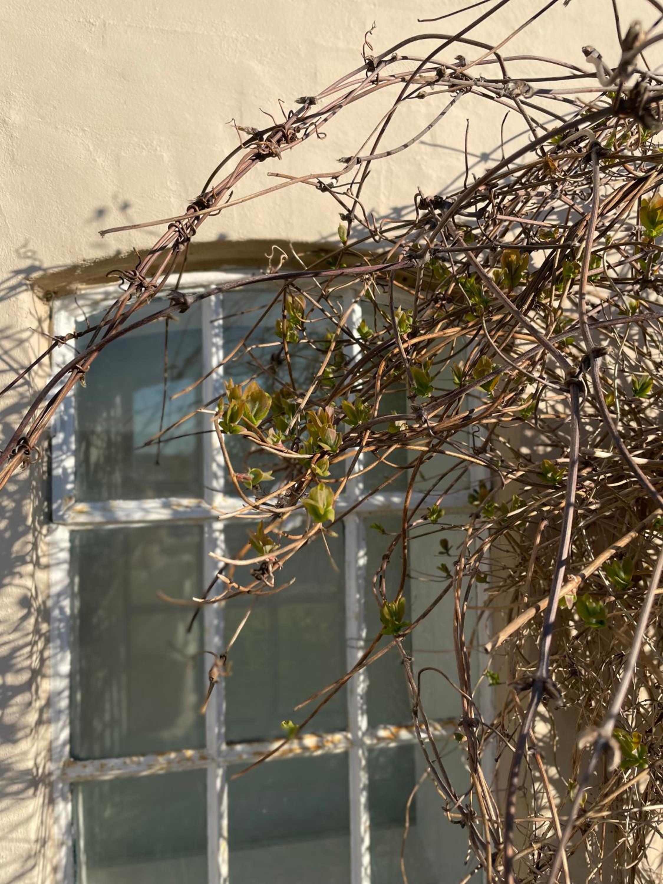 Feriehus i skøn natur