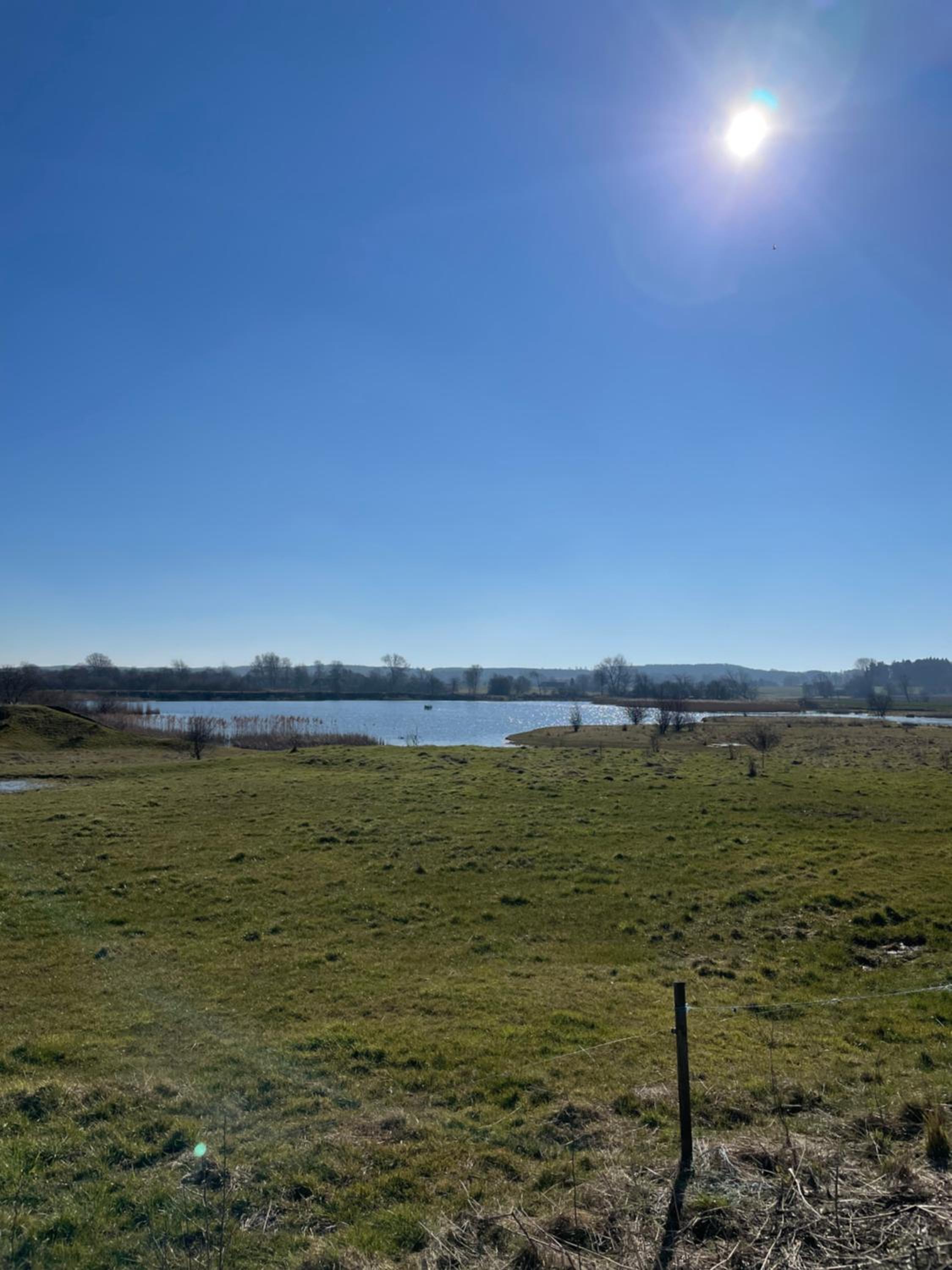 Feriehus i skøn natur