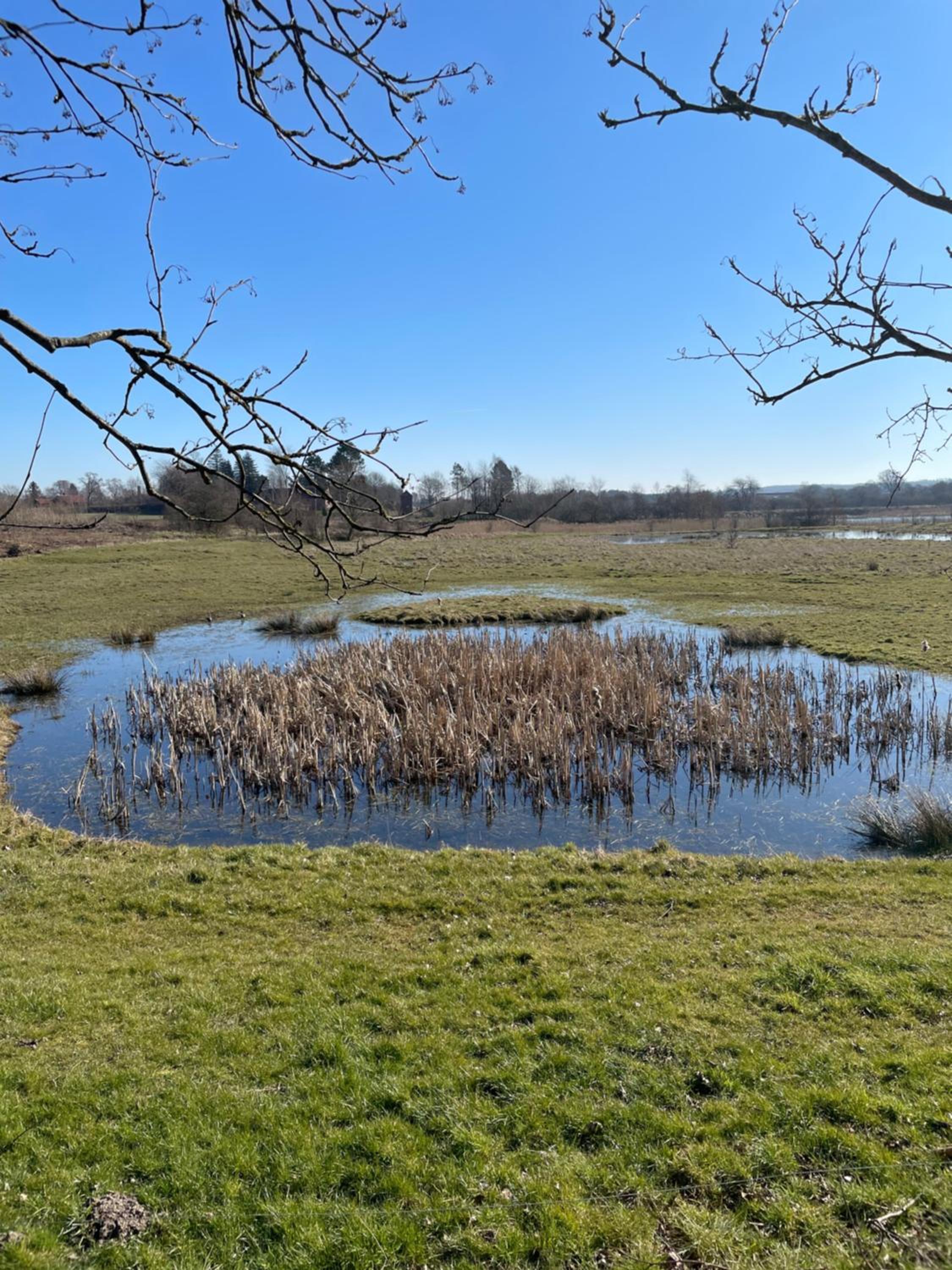 Feriehus i skøn natur
