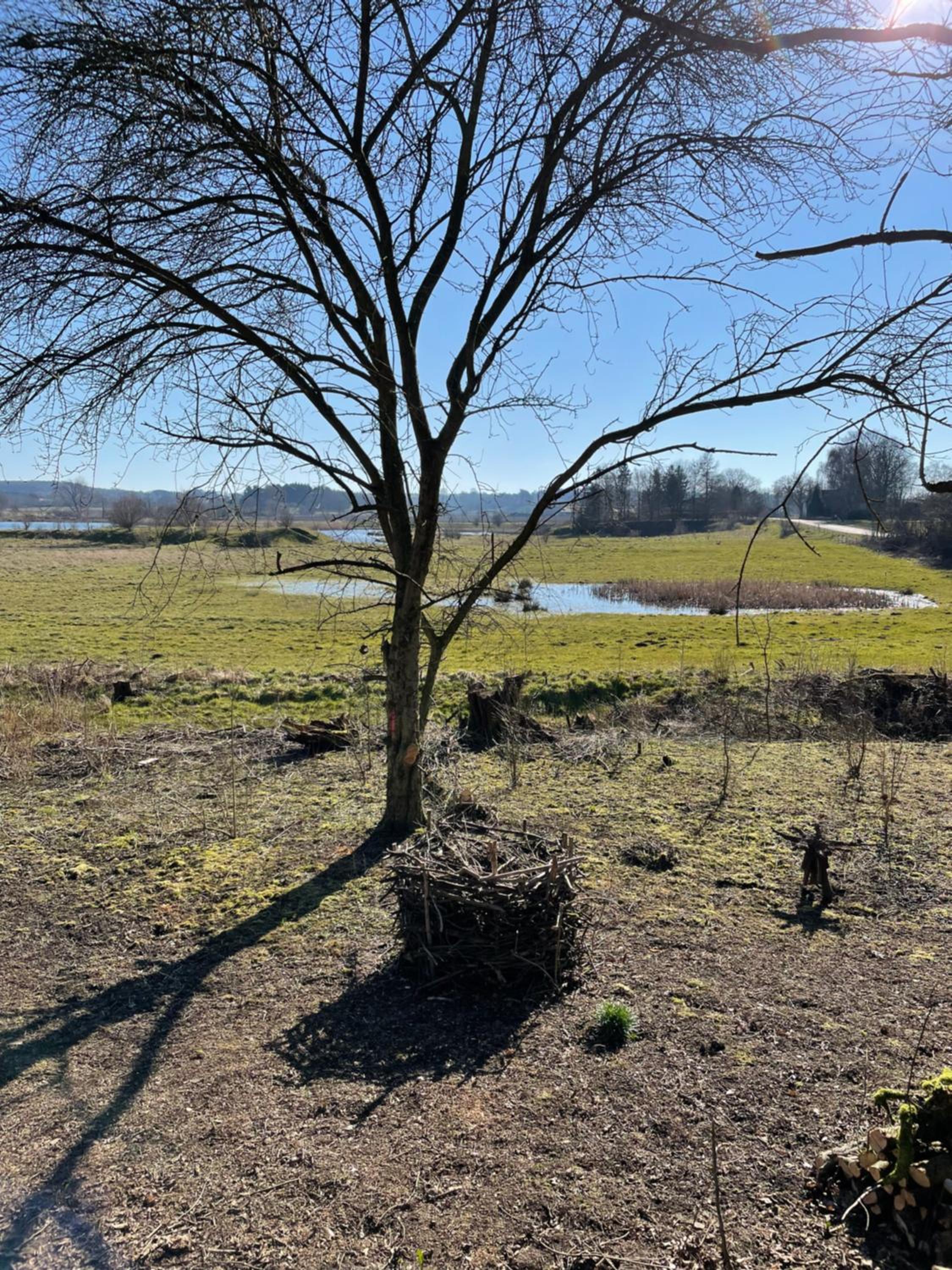 Feriehus i skøn natur