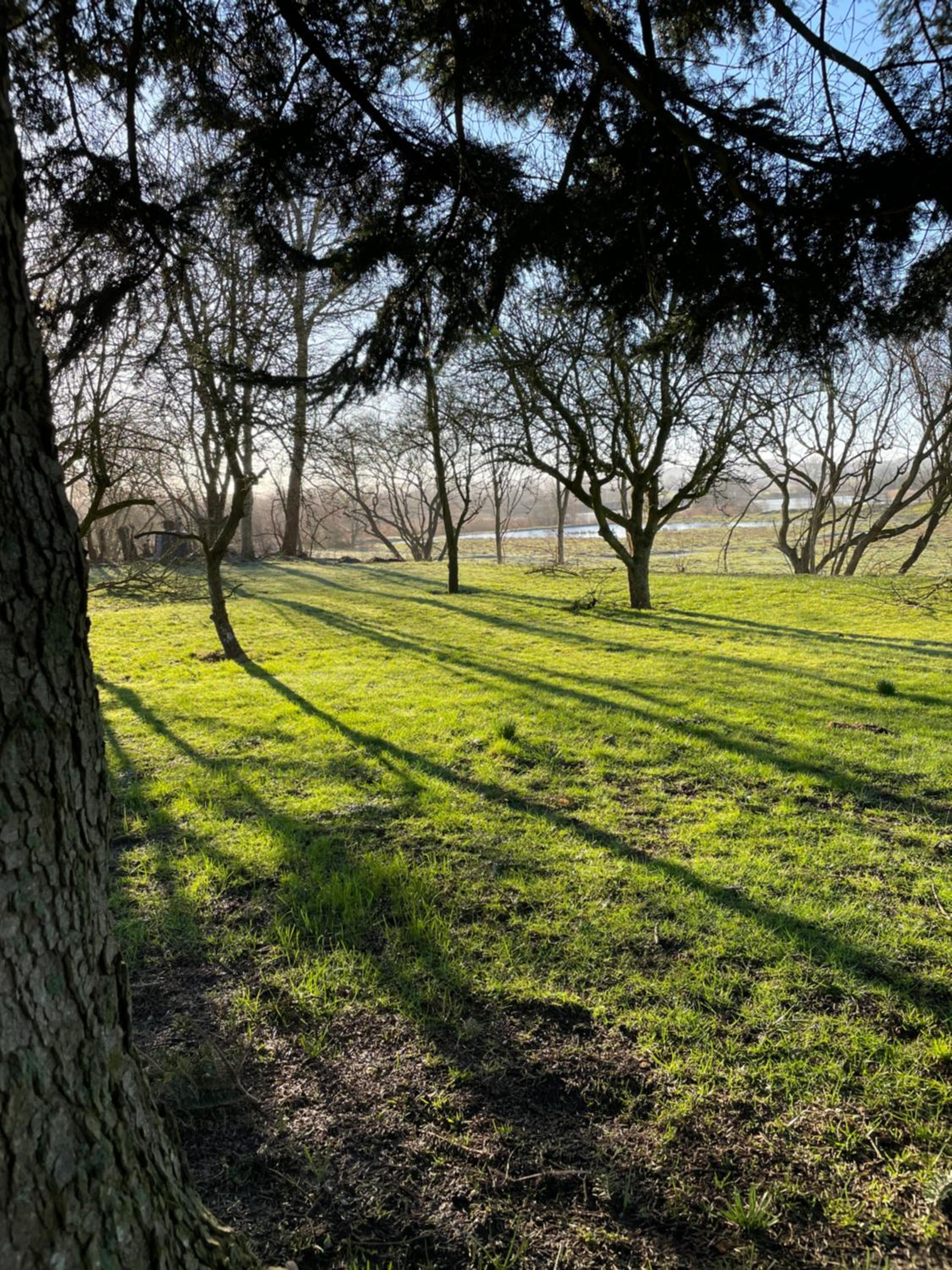 Feriehus i skøn natur