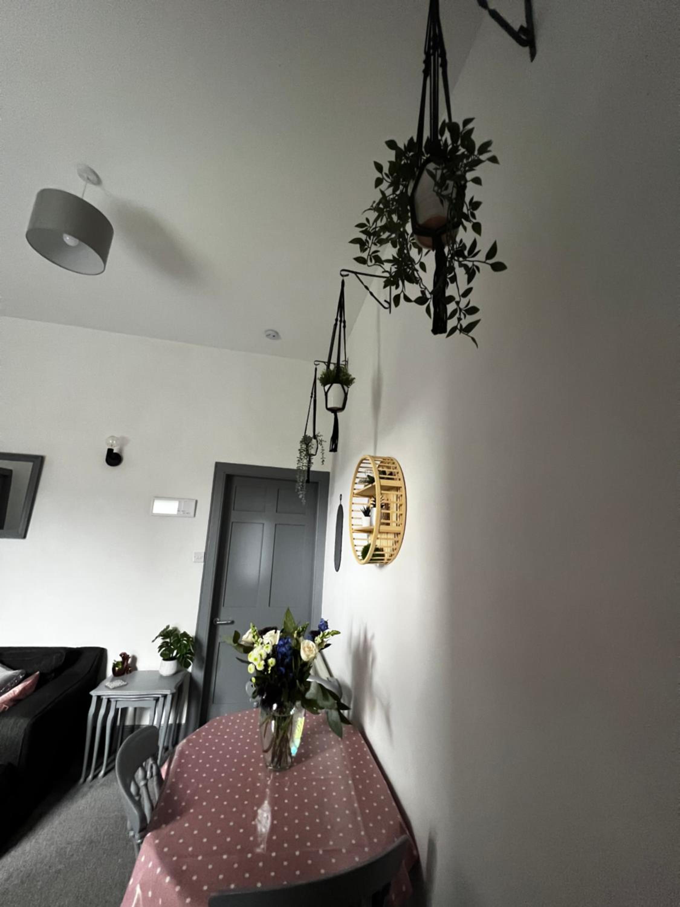 Photo 43
