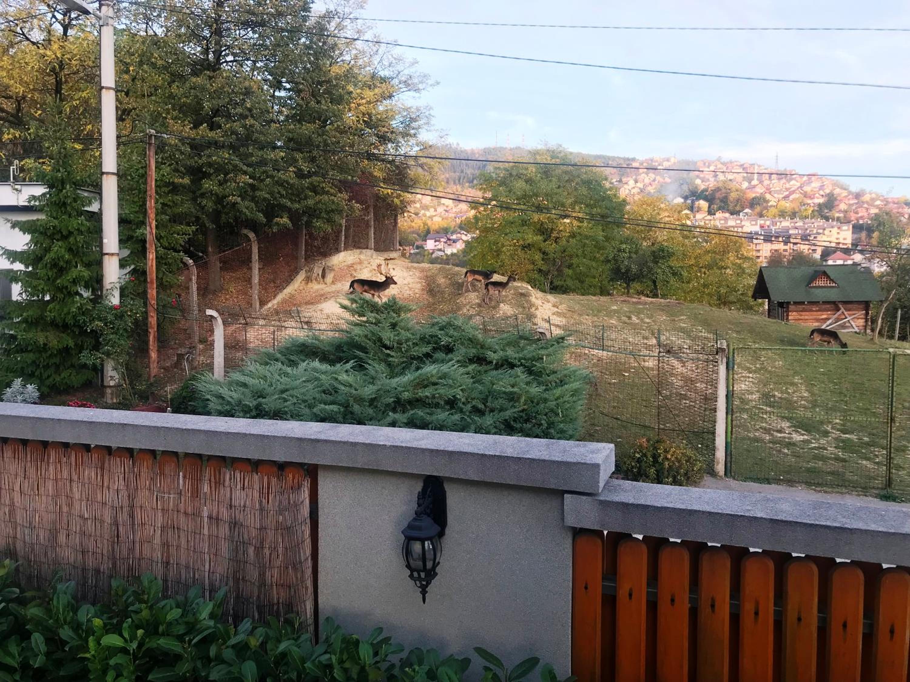 Photo 45