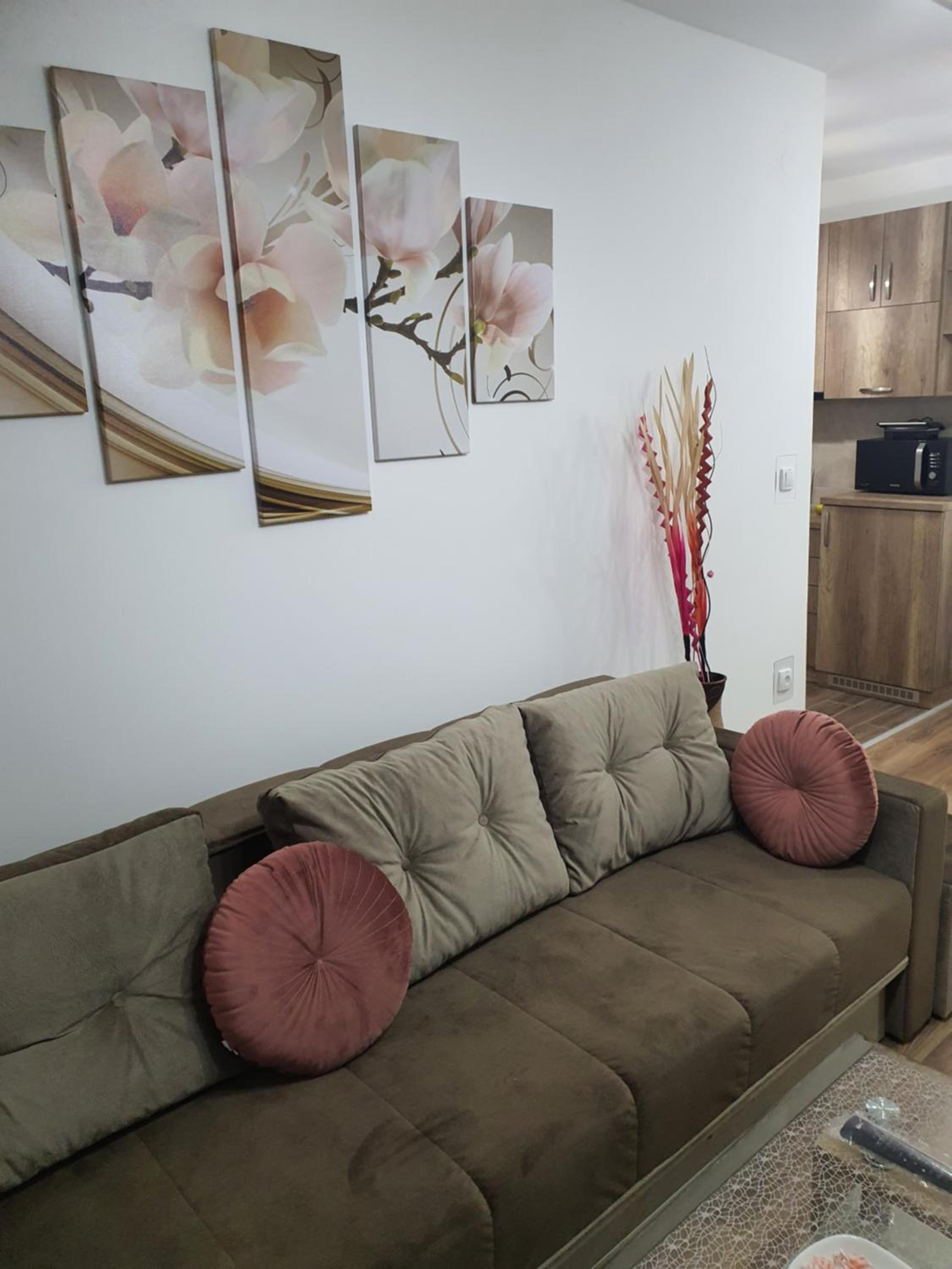 Apartman Banija view 3
