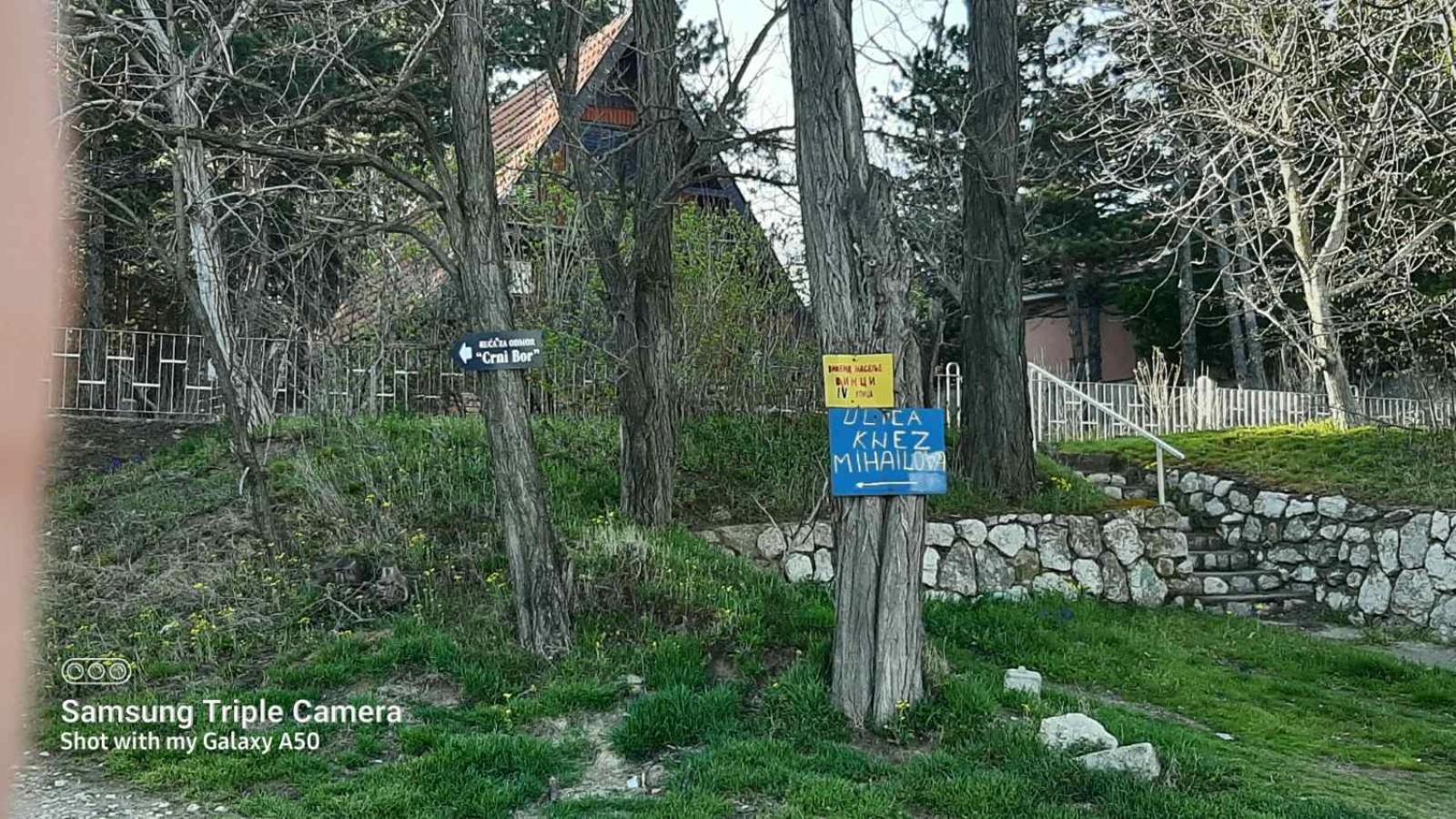 Photo 49