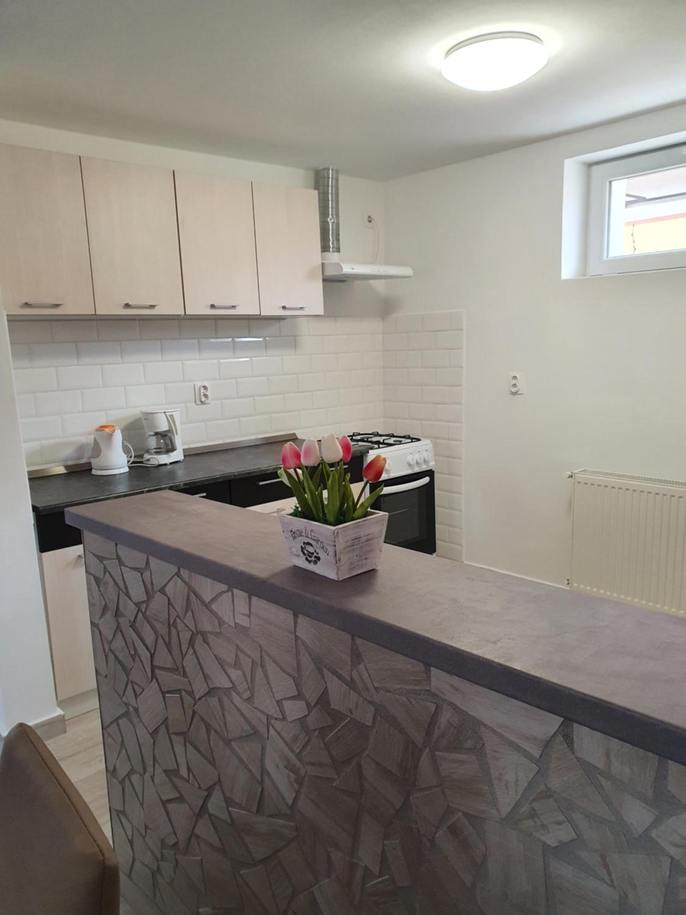 Família Apartman Cserkeszőlő view 5