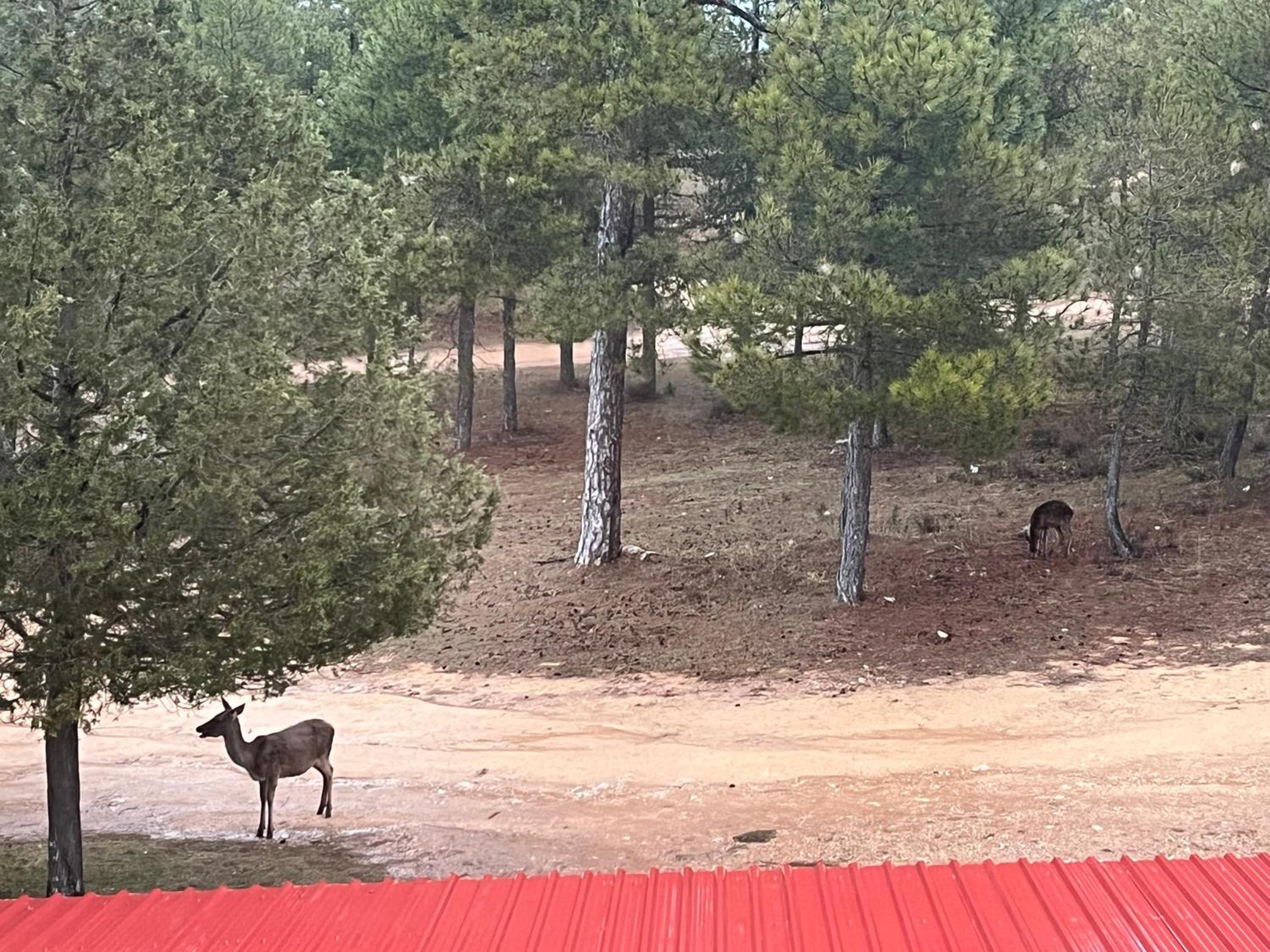 Hostal Ciudad Encantada