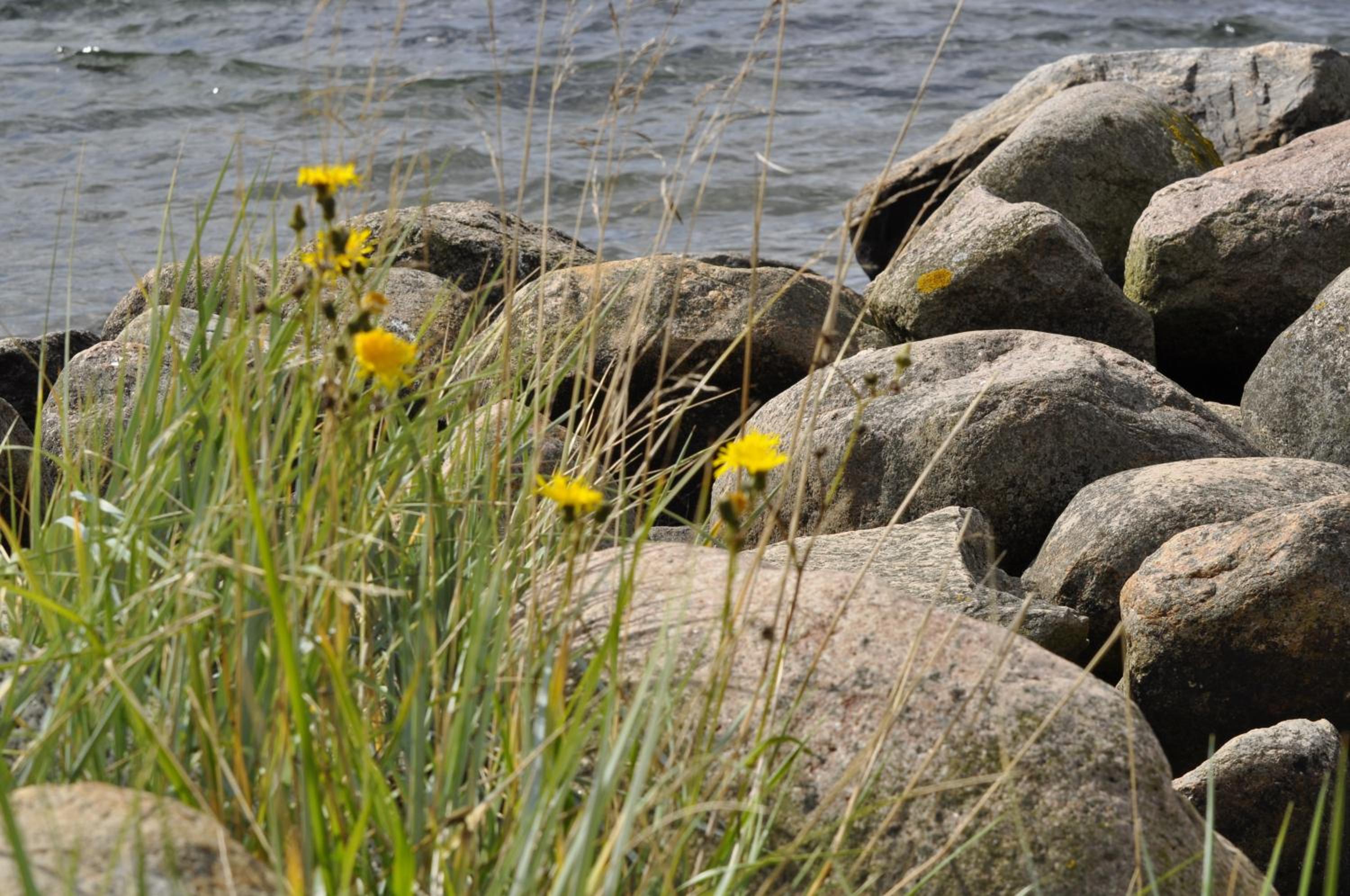 Ferienwohnung Ostsee App. 6111