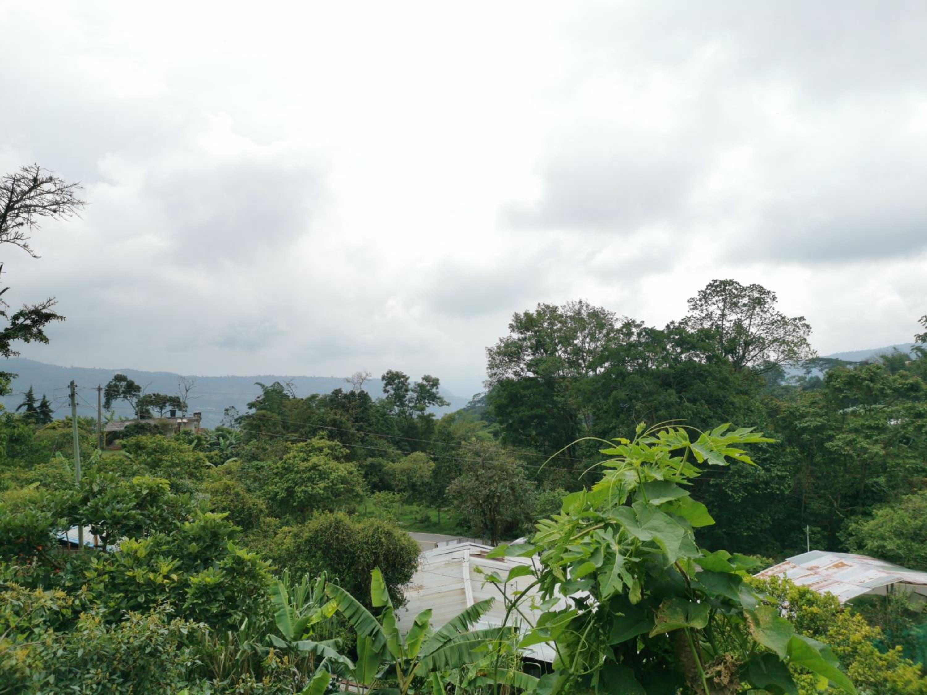 TIERRA VIVA, casa campestre - ANOLAIMA