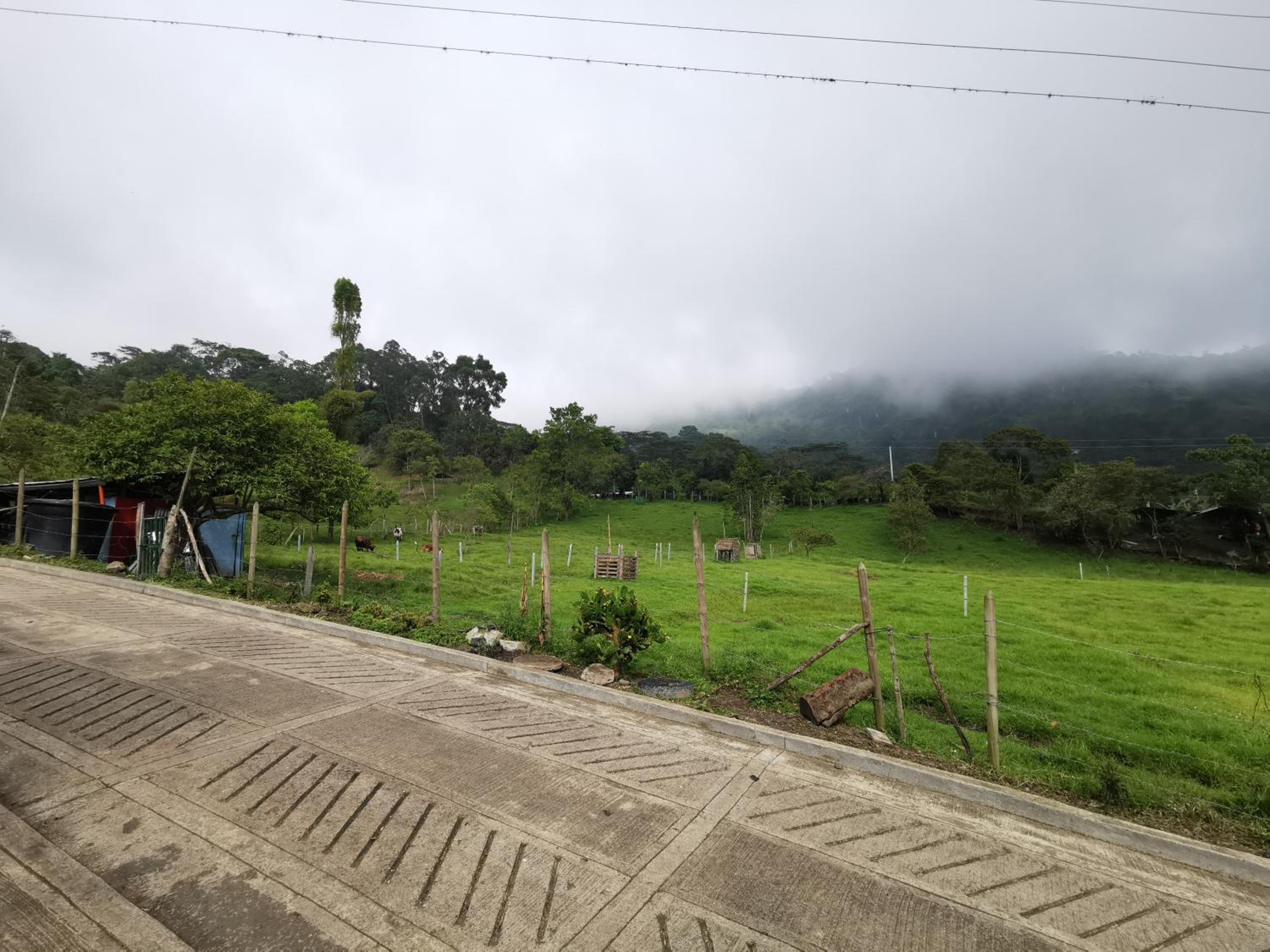 TIERRA VIVA, casa campestre - ANOLAIMA