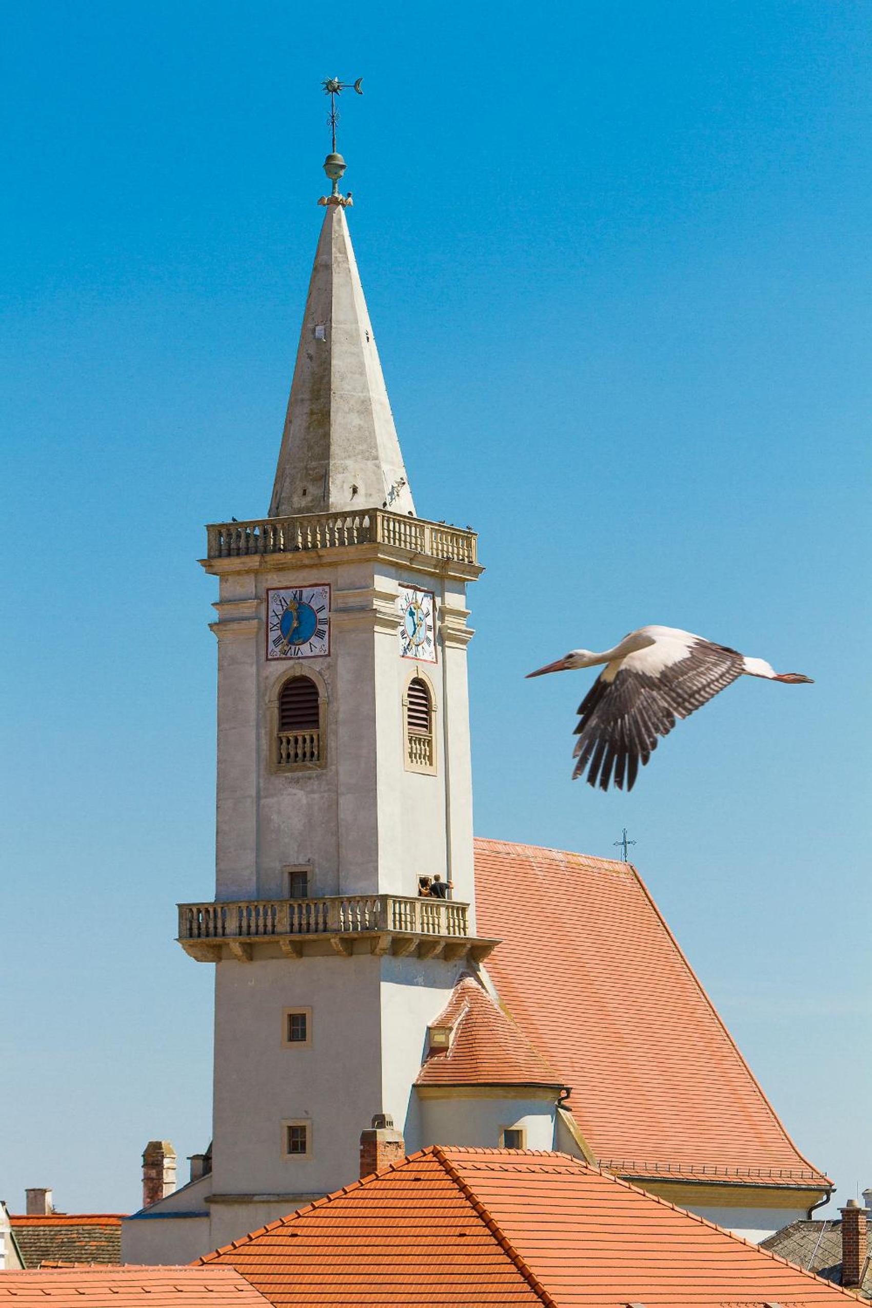 Photo 27