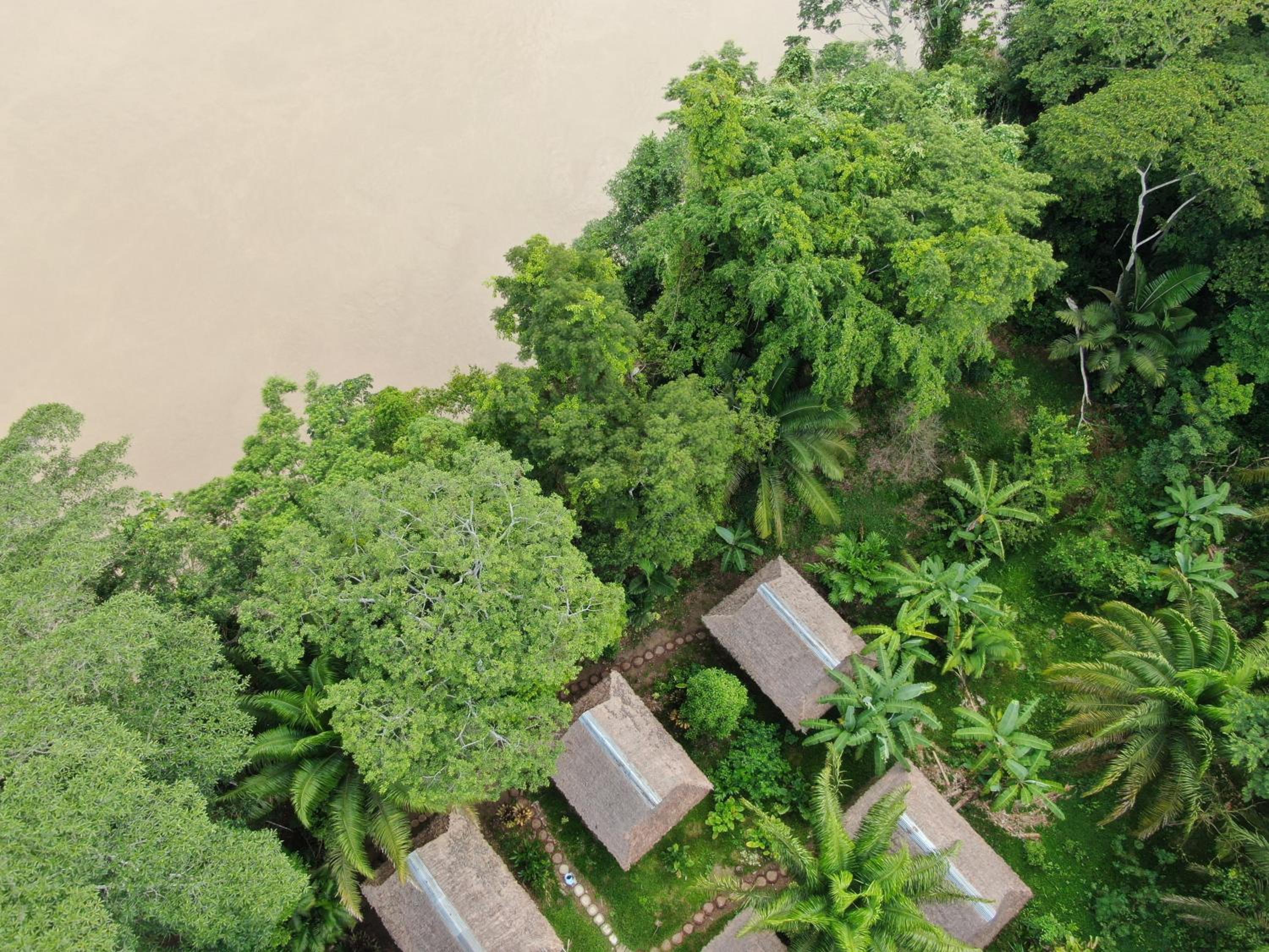 Ecolucerna Lodge Tambopata
