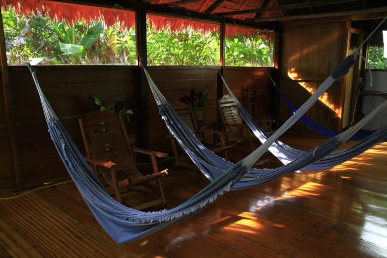 Ecolucerna Lodge Tambopata