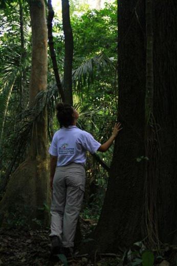 Ecolucerna Lodge Tambopata