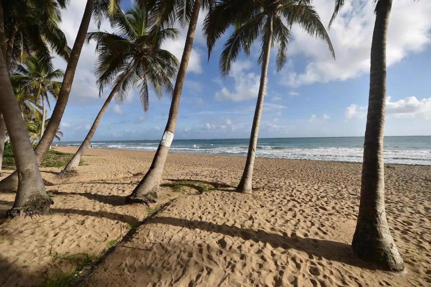 KASA Ocean Breeze - Cabana Studio Apartment BEACHFRONT CONDO POOL - Property Image 11