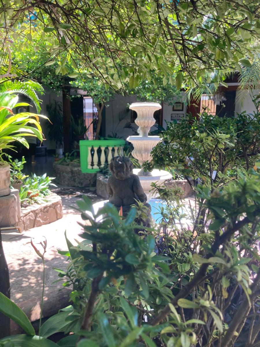 Photo 18