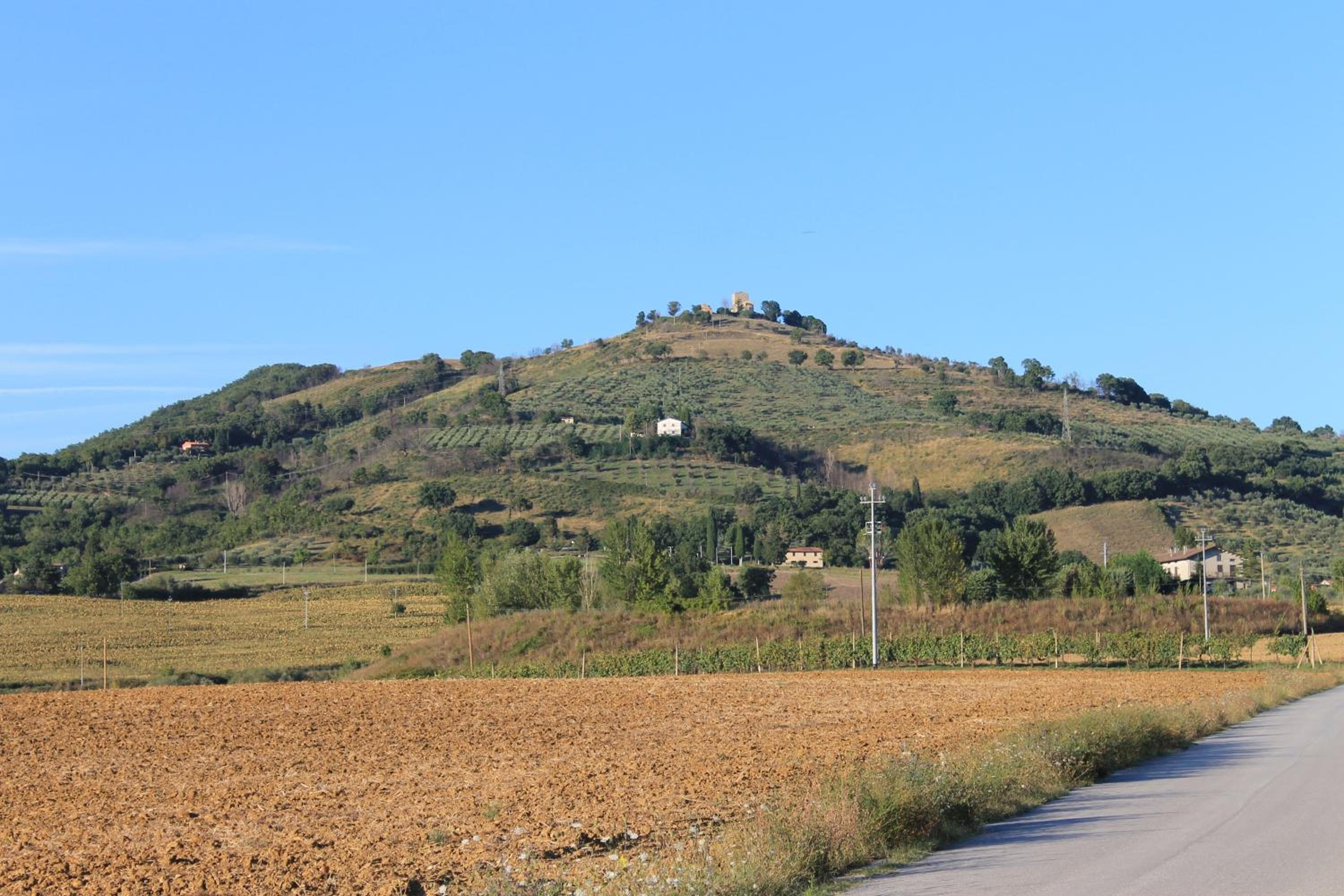 Fattoria di Rigone