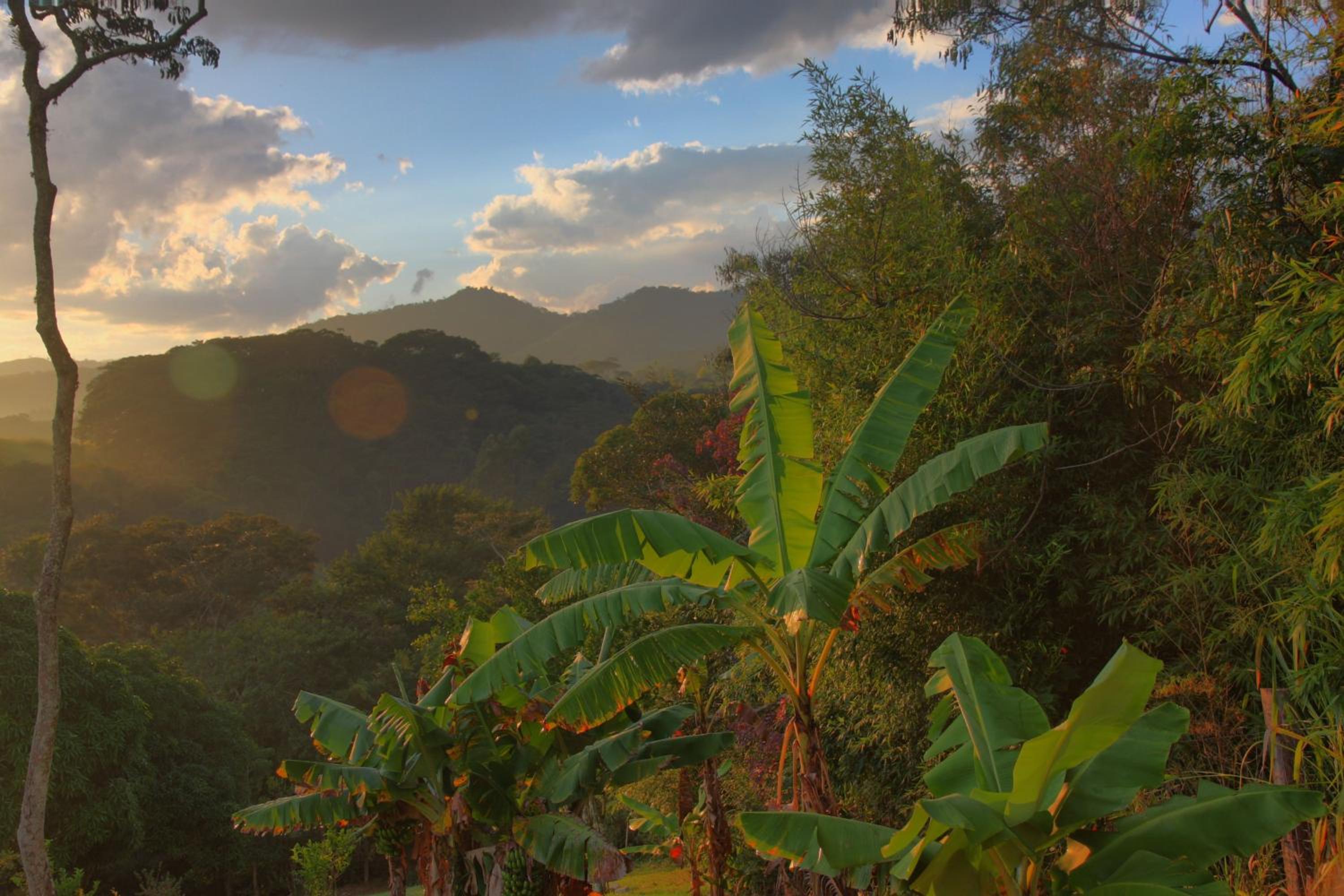 Pousada Coração Verde