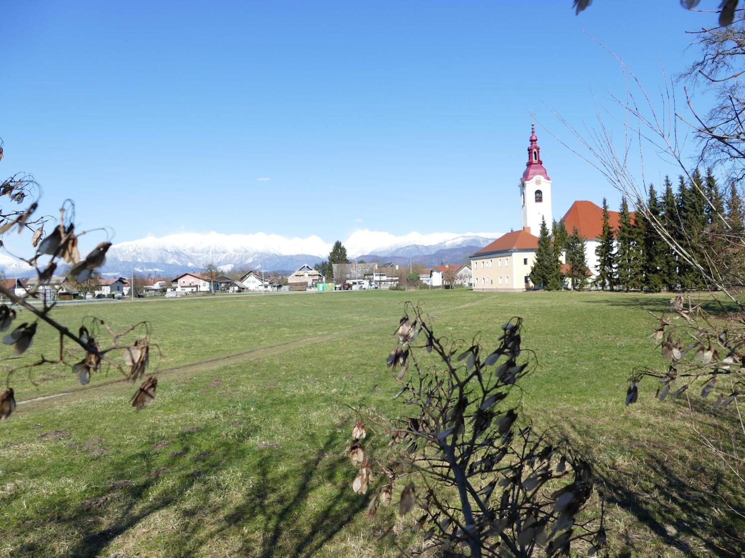 Photo 22