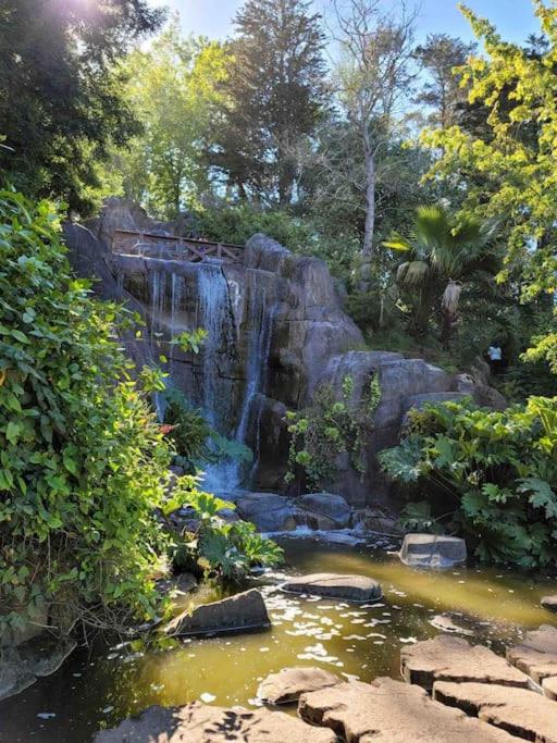 Golden Gate Park Sweet Home-2 bedrooms view 3