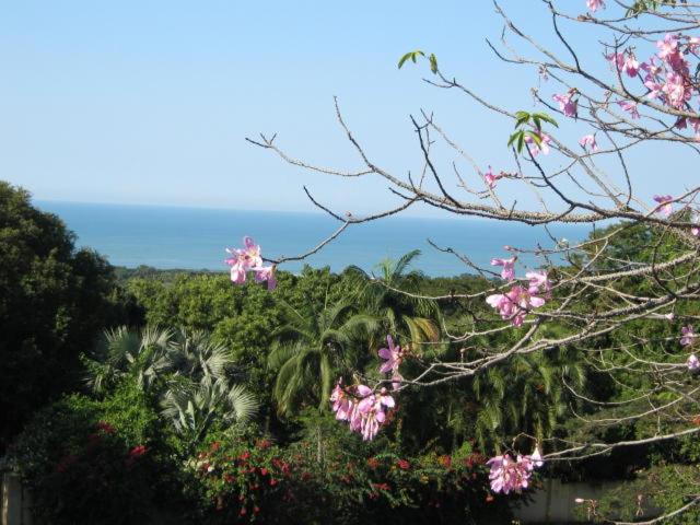 raphia on sea view 2