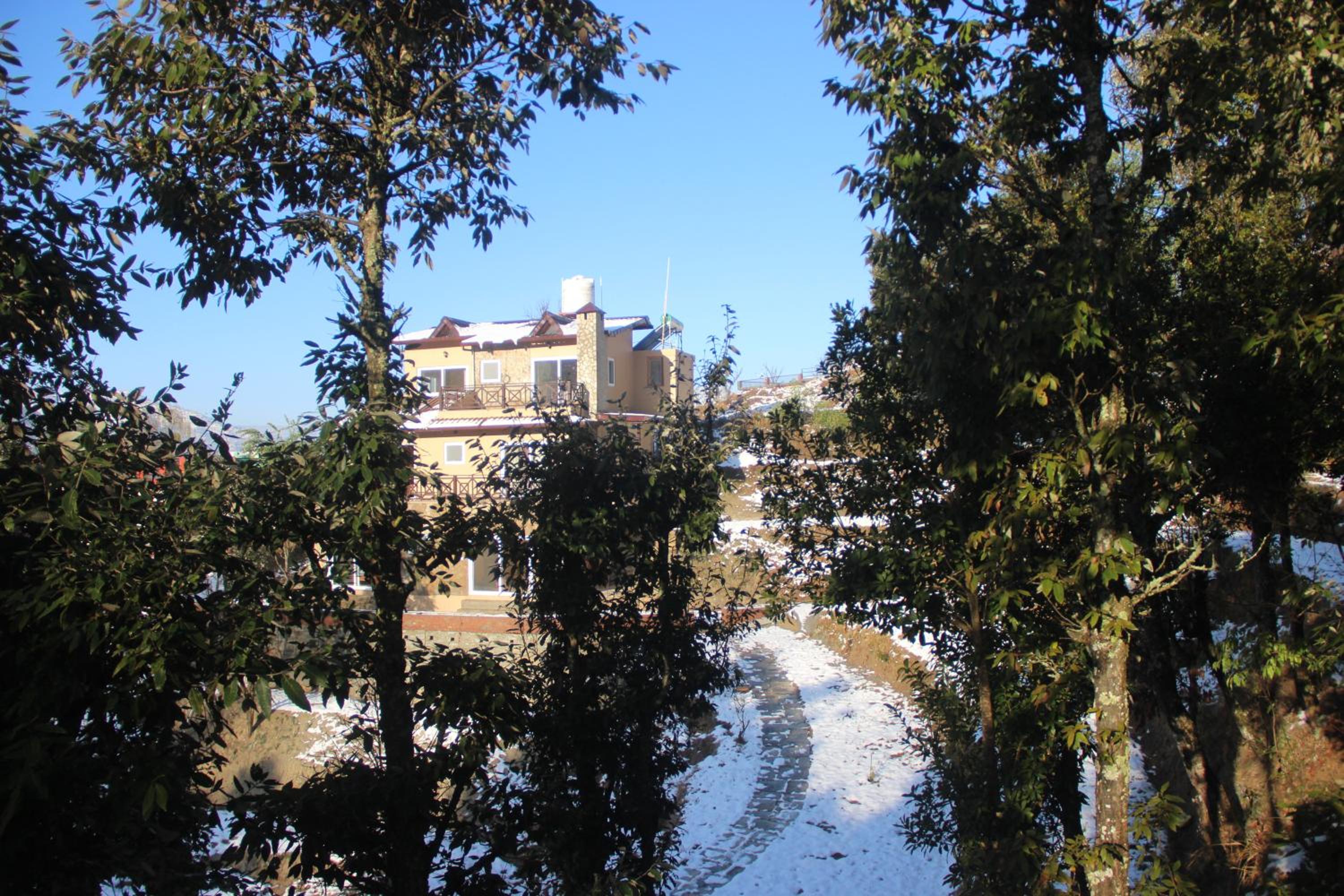 Photo 44