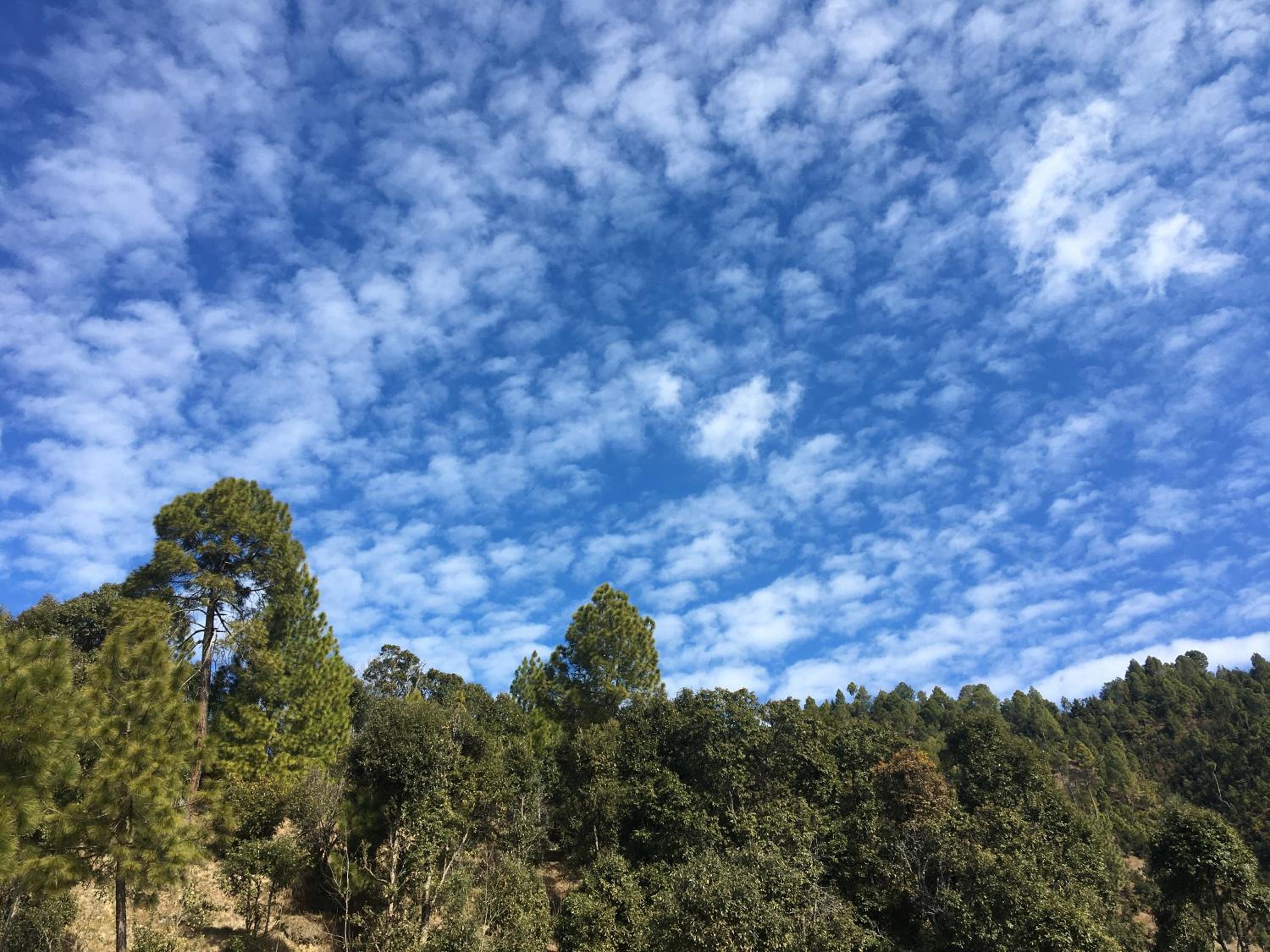 Photo 45