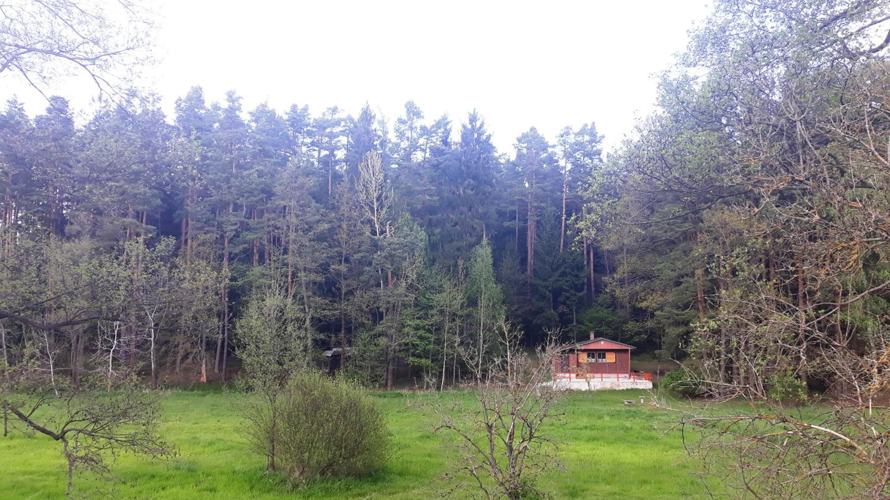 Chata - Na samotě u lesa