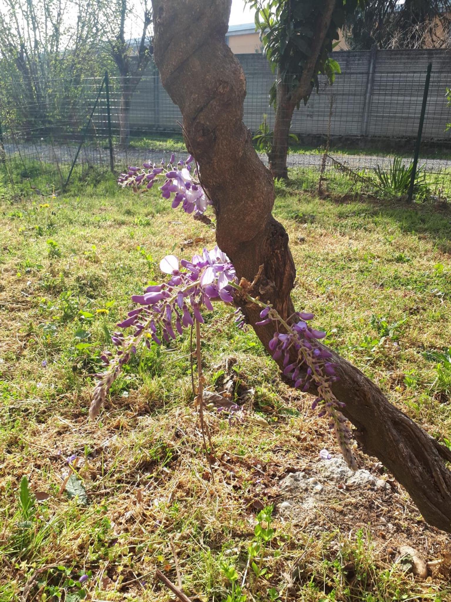 Photo 29