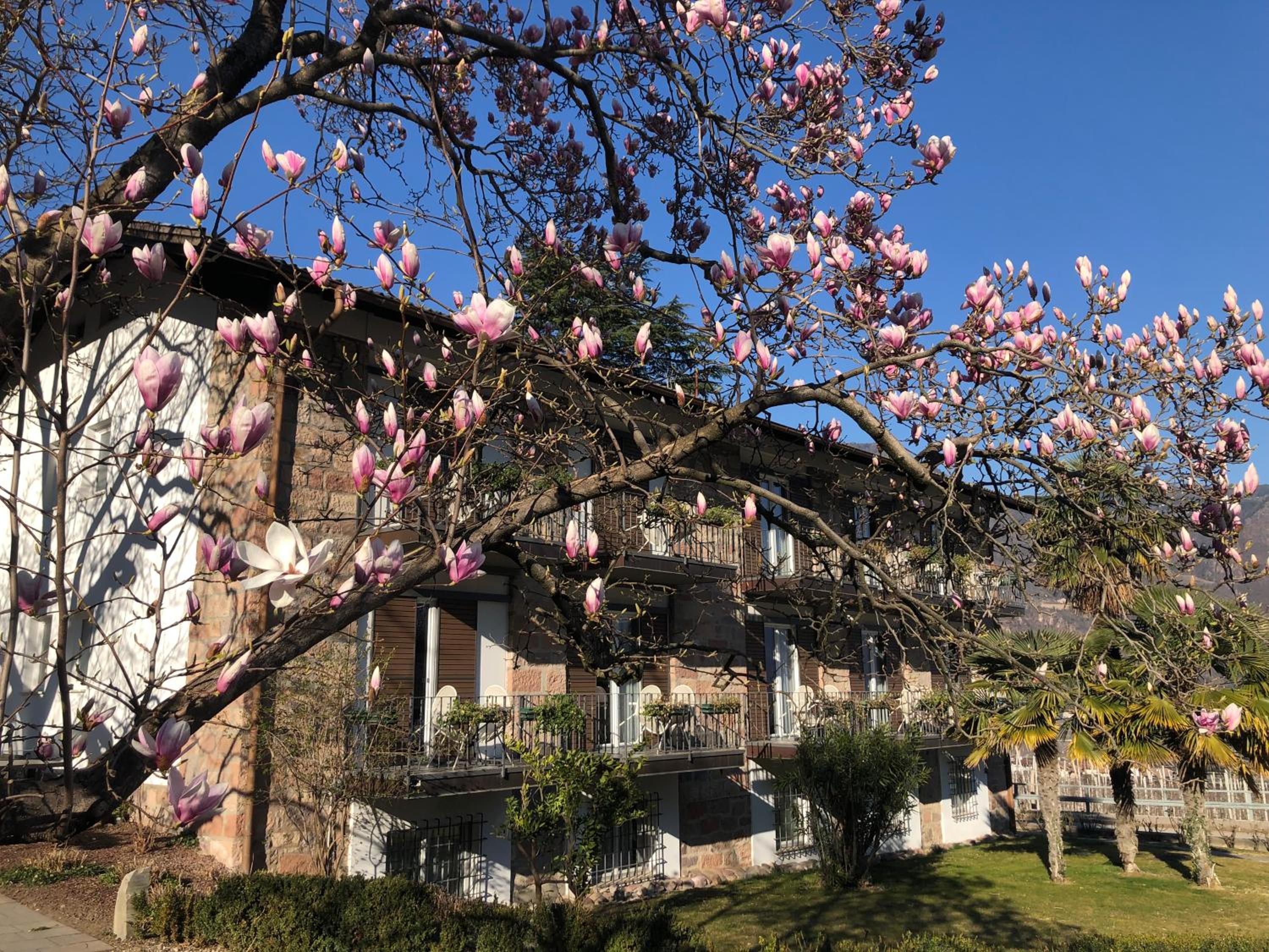 Pension Zeder view 2