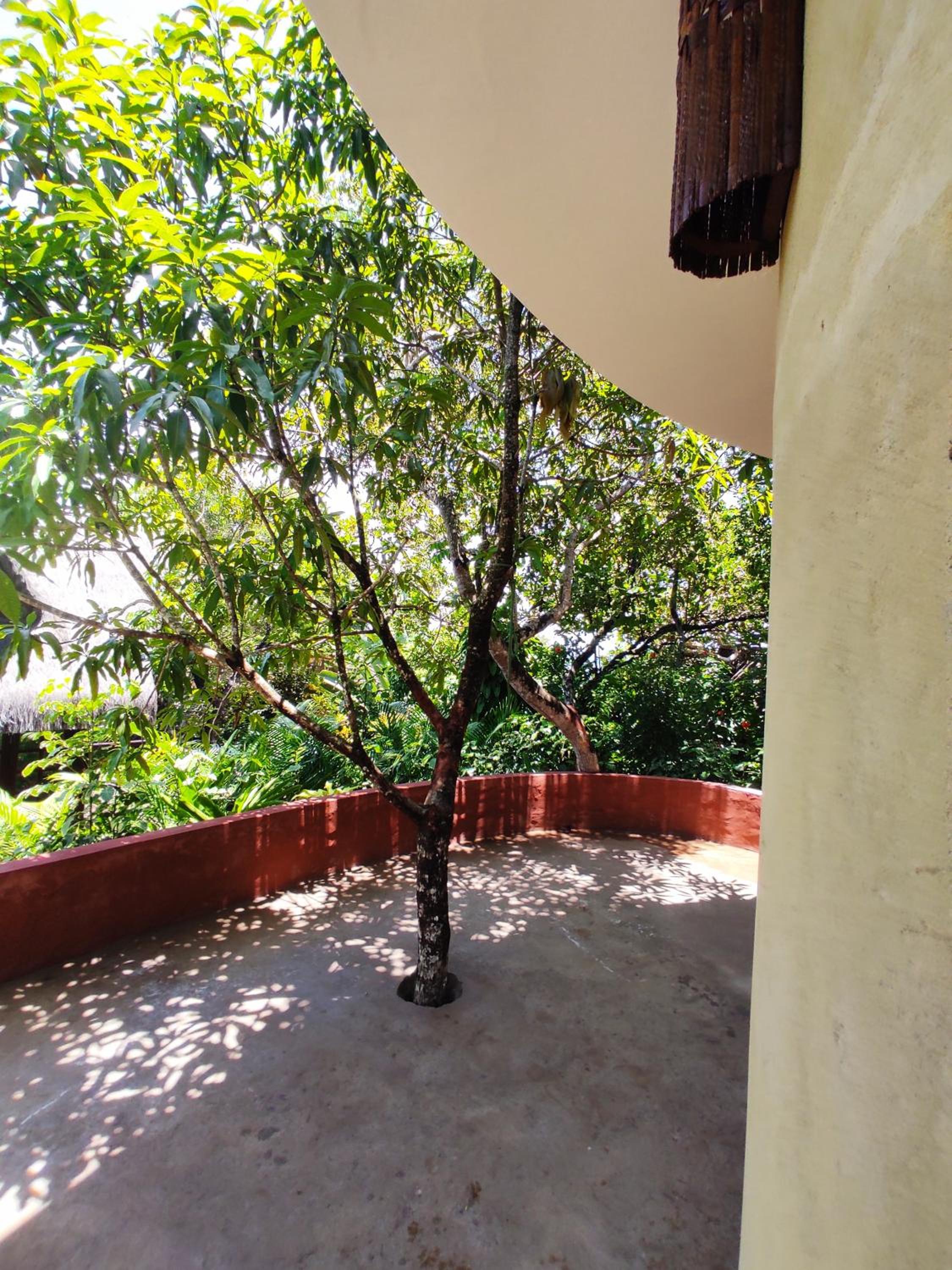 Torre Cajila Morro de São Paulo