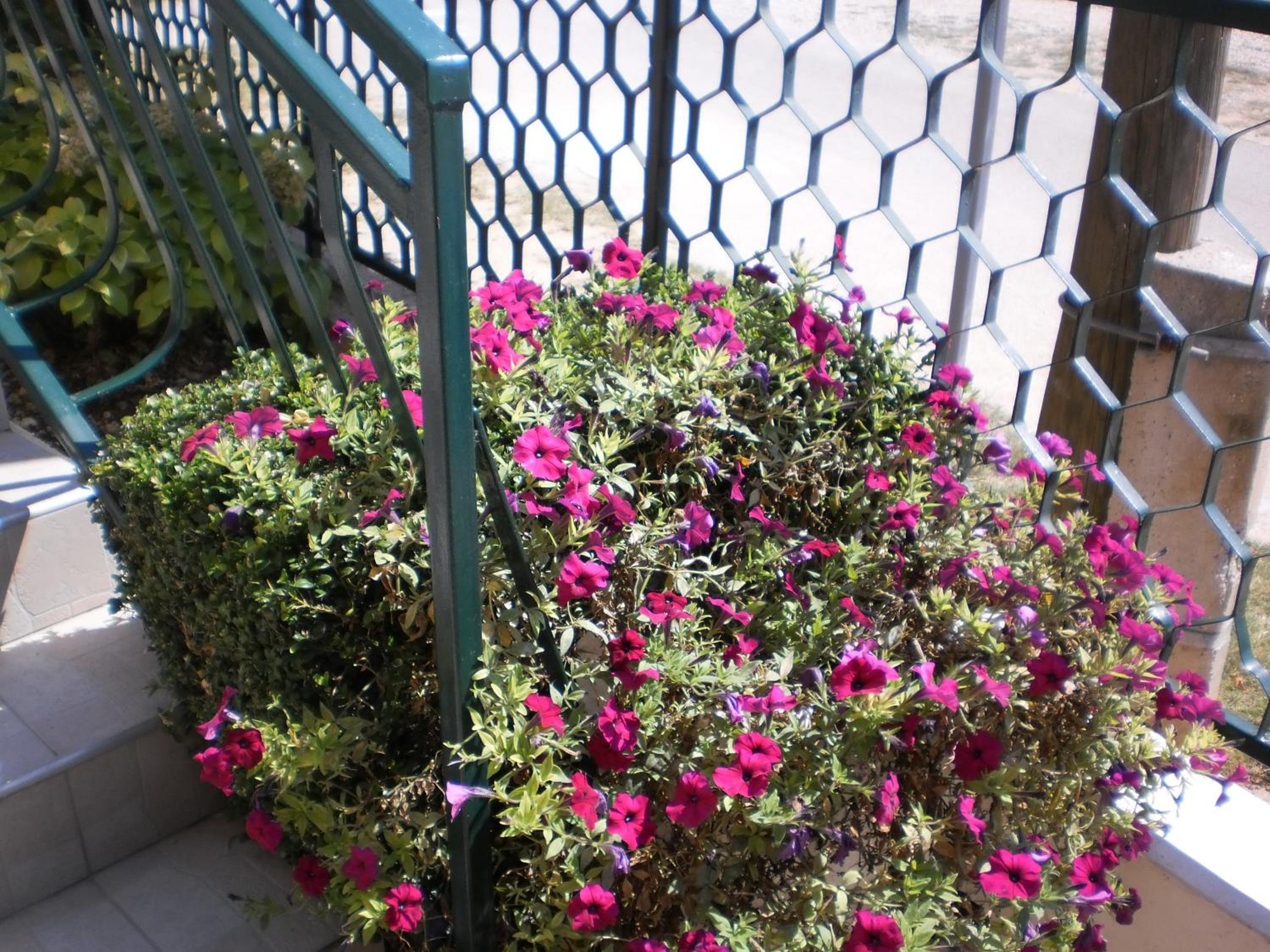 Photo 23